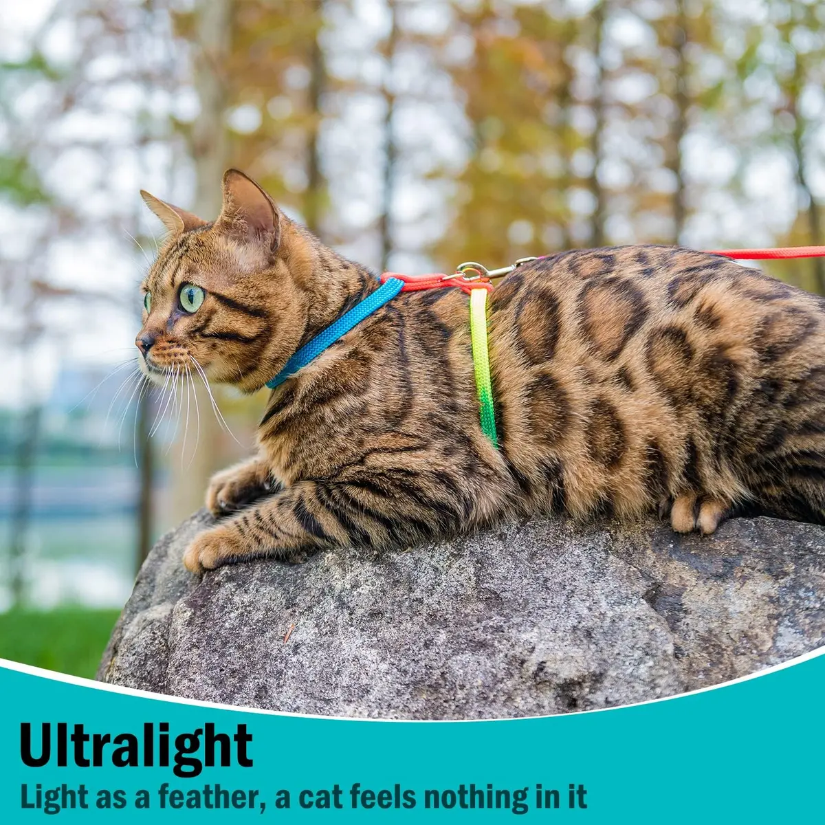 PUPTECK Adjustable Cat Harness and Leash Set | Escape Proof Kitten Strap Collar for Walking & Travel, Multicolor - view 4