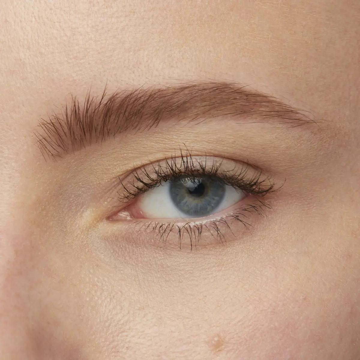 Maybelline New York Brow Tattoo Longlasting Tint Light Brown 4.9ml (0.17 Fl Oz) | Semi-Permanent Eyebrow Color - view 6