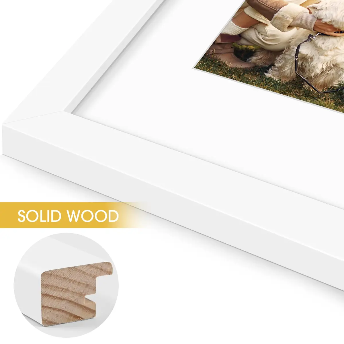 Golden State Art 11x14 White Picture Frame with Mat, Solid Wood & Real Glass, 8x10 - view 5