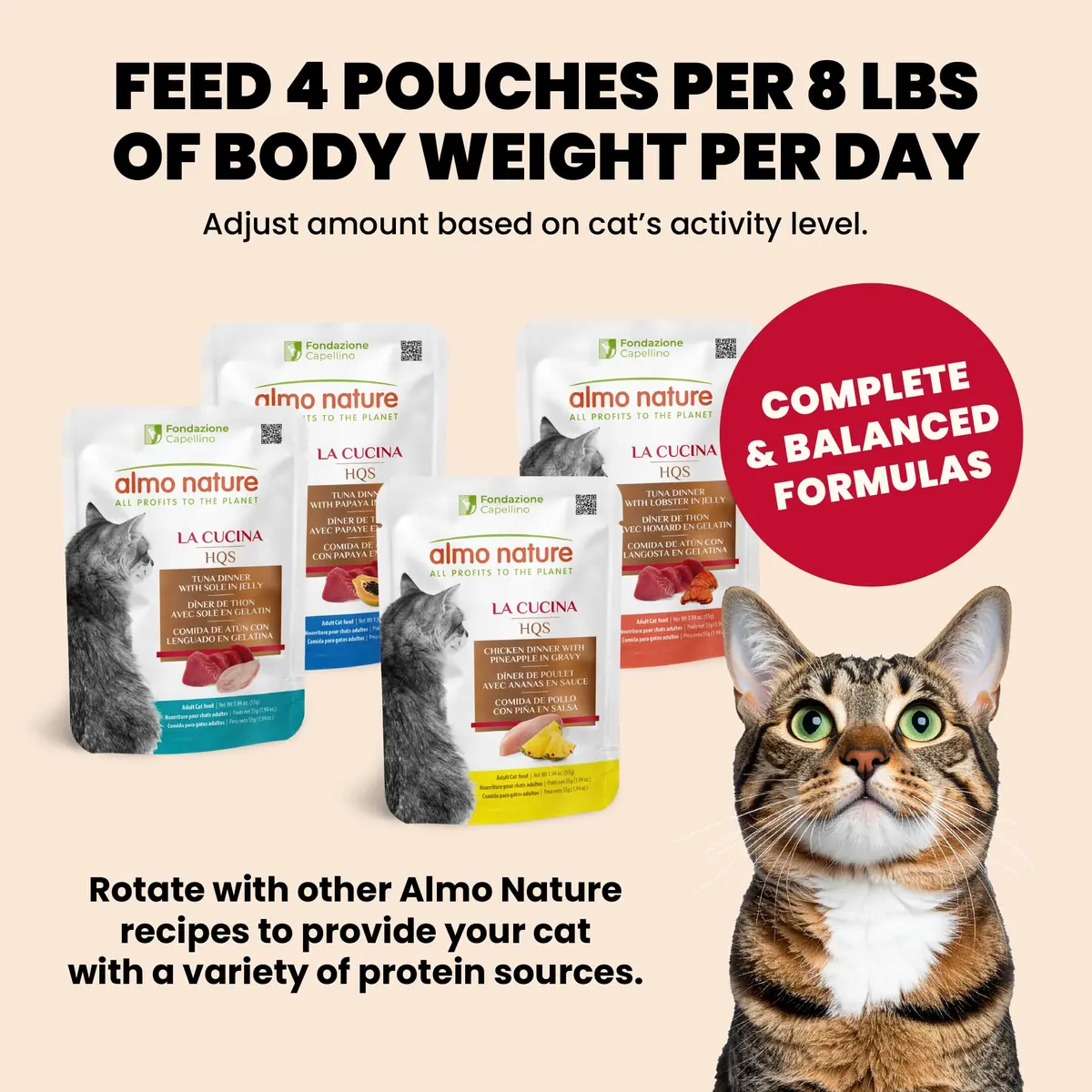 almo nature HQS Complete CAT Wet Cat Food Chicken Dinner with Apple in Jelly - Grain-Free, 1.94 oz (Pack of 12) | Natural & Digestible - view 6