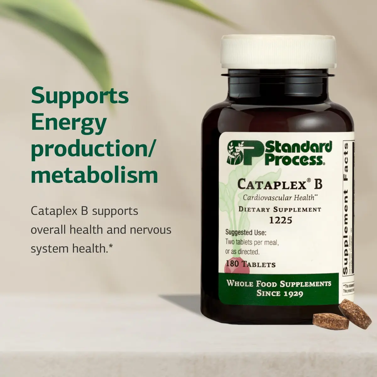 Standard Process Cataplex B 180 Tablets | Supports Nervous & Heart Health, Energy Production - view 3