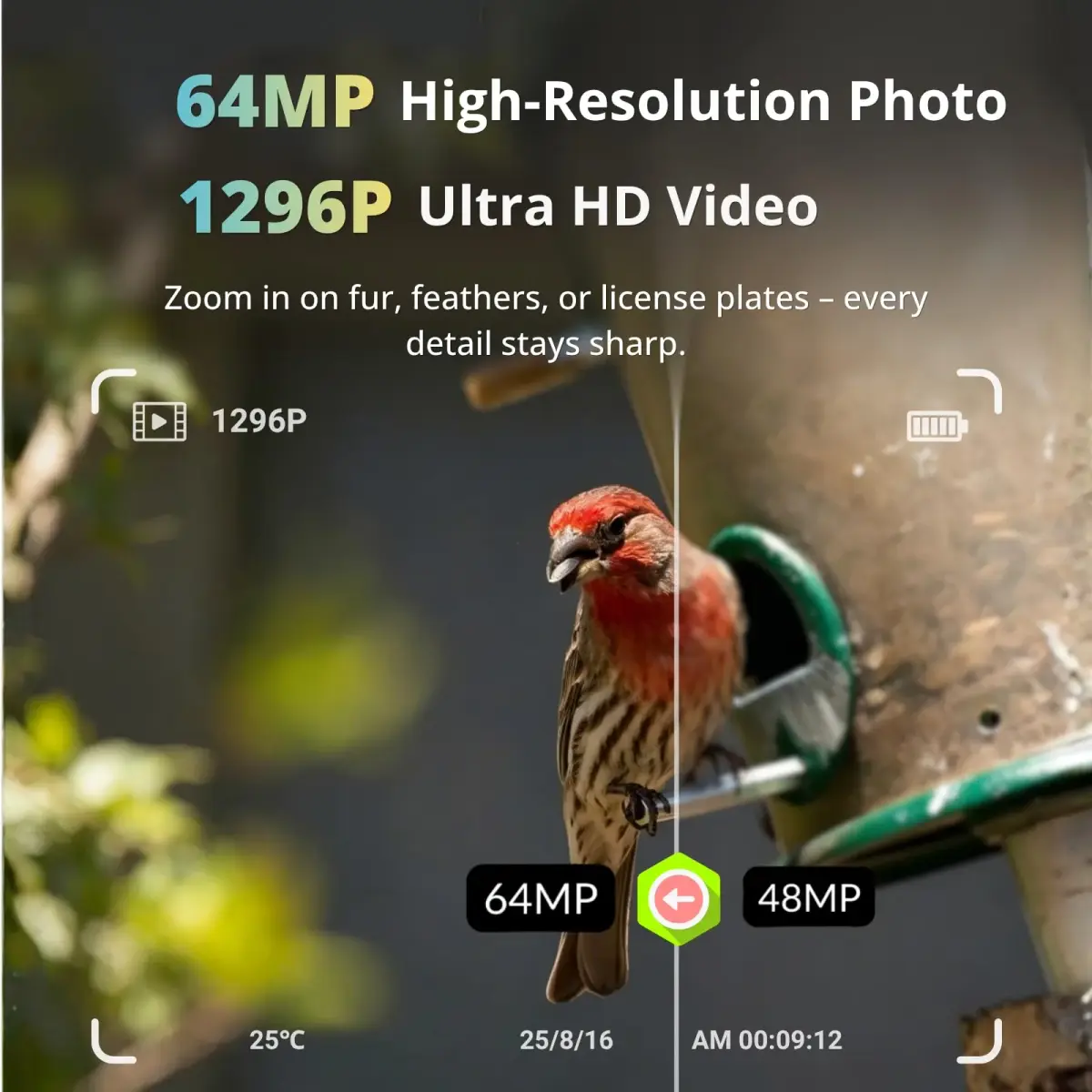 BLAZEVIDEO 2-Pack Trail Camera 64MP 1296P Video, 940nm No-Glow Night Vision, 70° Focused PIR Detection, 0.3s Trigger, IP66 Waterproof - view 2