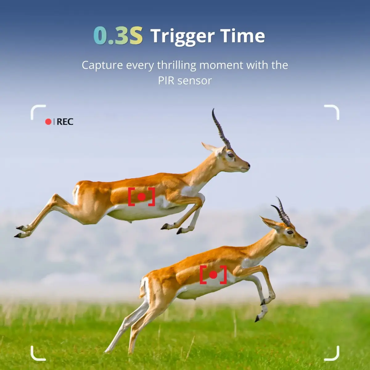 BLAZEVIDEO 2-Pack Trail Camera 64MP 1296P Video, 940nm No-Glow Night Vision, 70° Focused PIR Detection, 0.3s Trigger, IP66 Waterproof - view 4