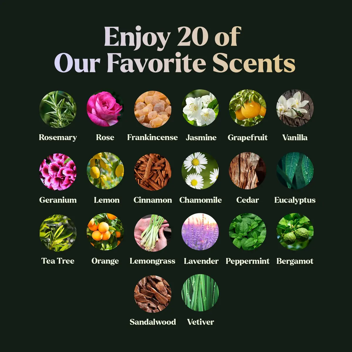 Lagunamoon Essential Oils Set, Top 20 Gift Set Oils for Diffusers, Humidifiers, Aromatherapy, Candle Making Scents, Cars & Home Products, Peppermint, Tea Tree, Lavender, Eucalyptus, Lemongrass (10mL) - view 3