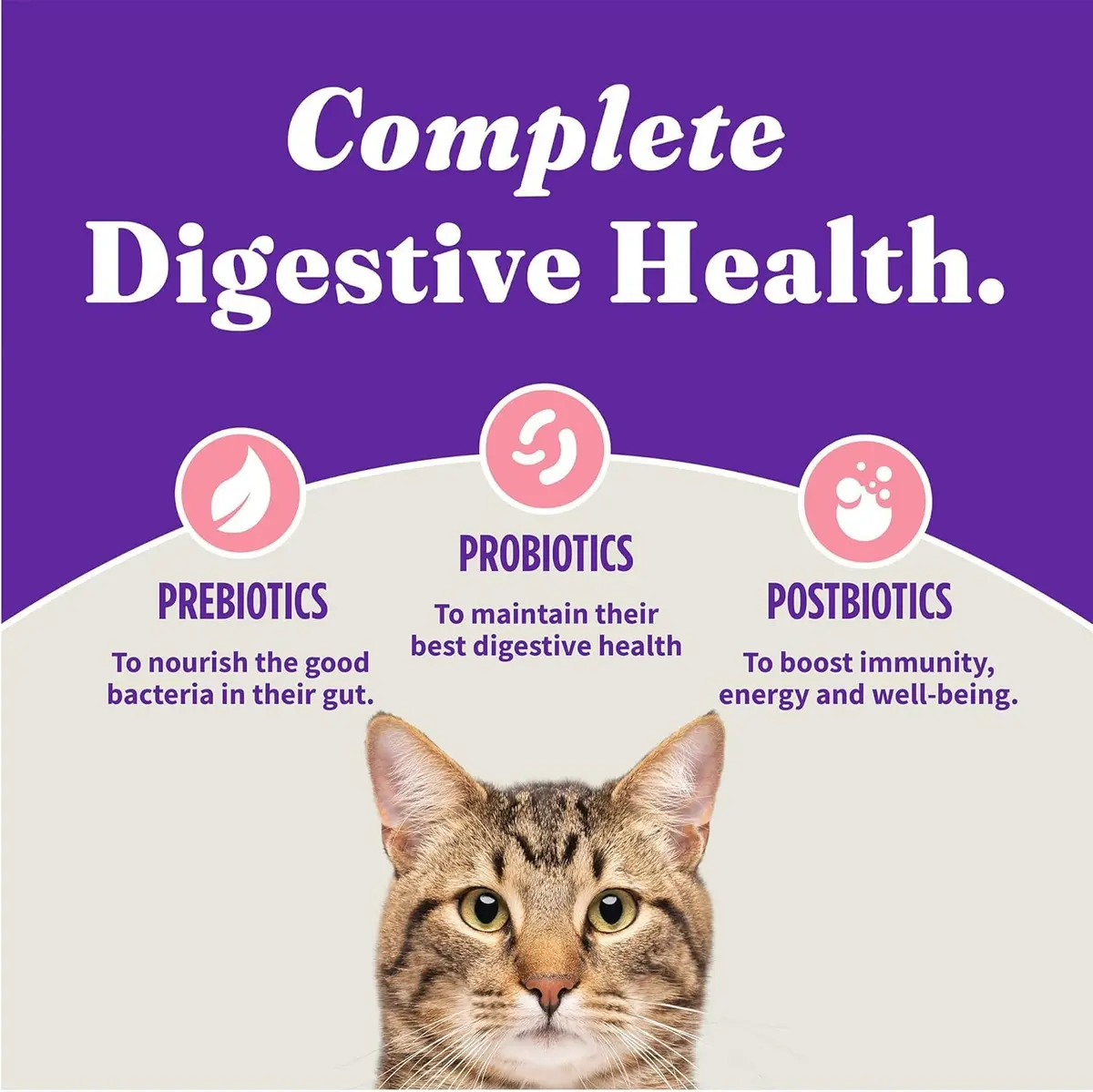 Halo Holistic Dry Kitten Food, Wild-Caught Salmon & Whitefish Recipe, 6 lb | Complete Digestive & Development Support - view 7