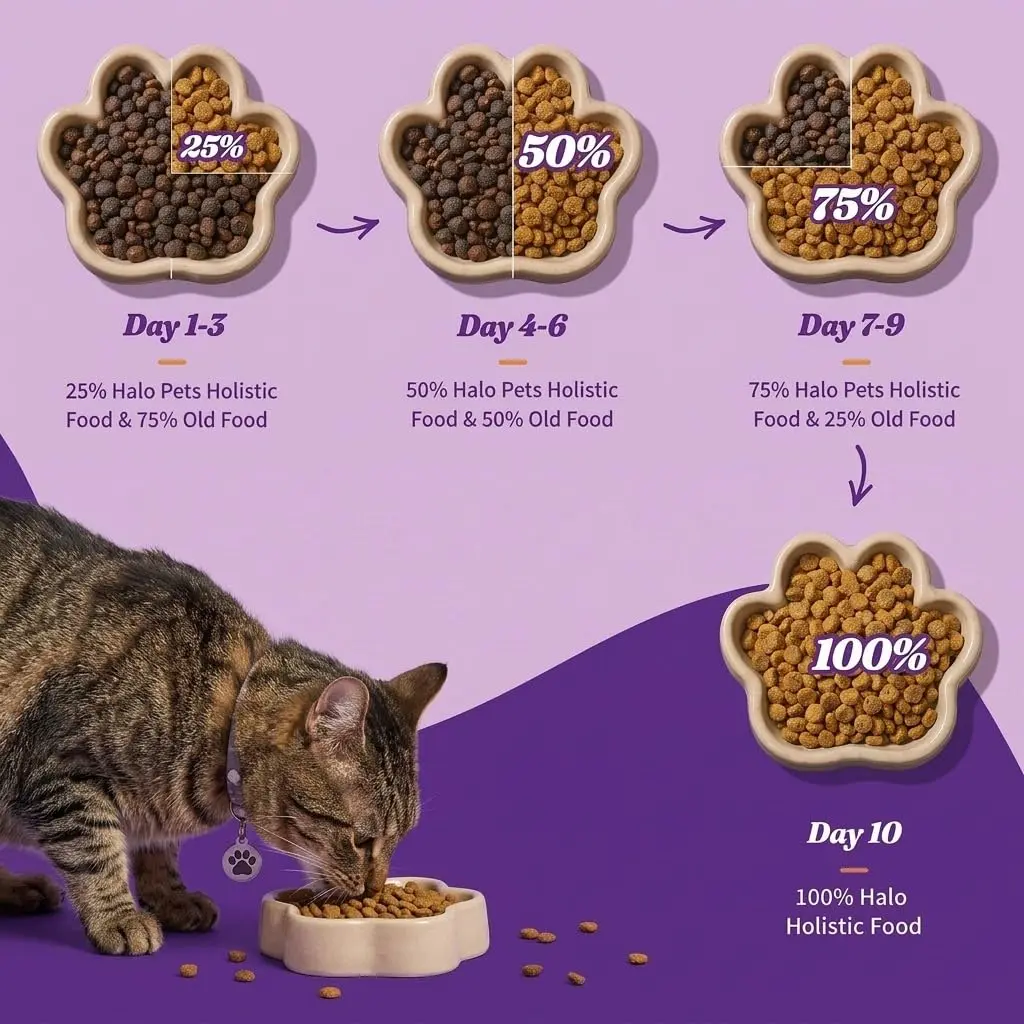 Halo Holistic Dry Kitten Food, Wild-Caught Salmon & Whitefish Recipe, 6 lb | Complete Digestive & Development Support - view 9