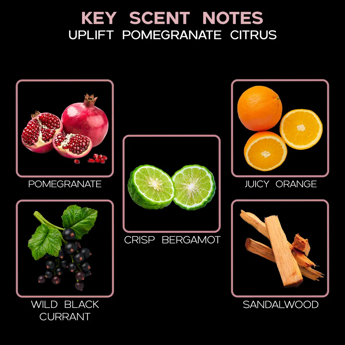 LOVSPA Reed Diffuser Set, Uplift Pomegranate Citrus Scented Oil Diffuser with Sticks, Home Fragrance Accessories for Bathroom Shelf Decor, USA Made - view 3