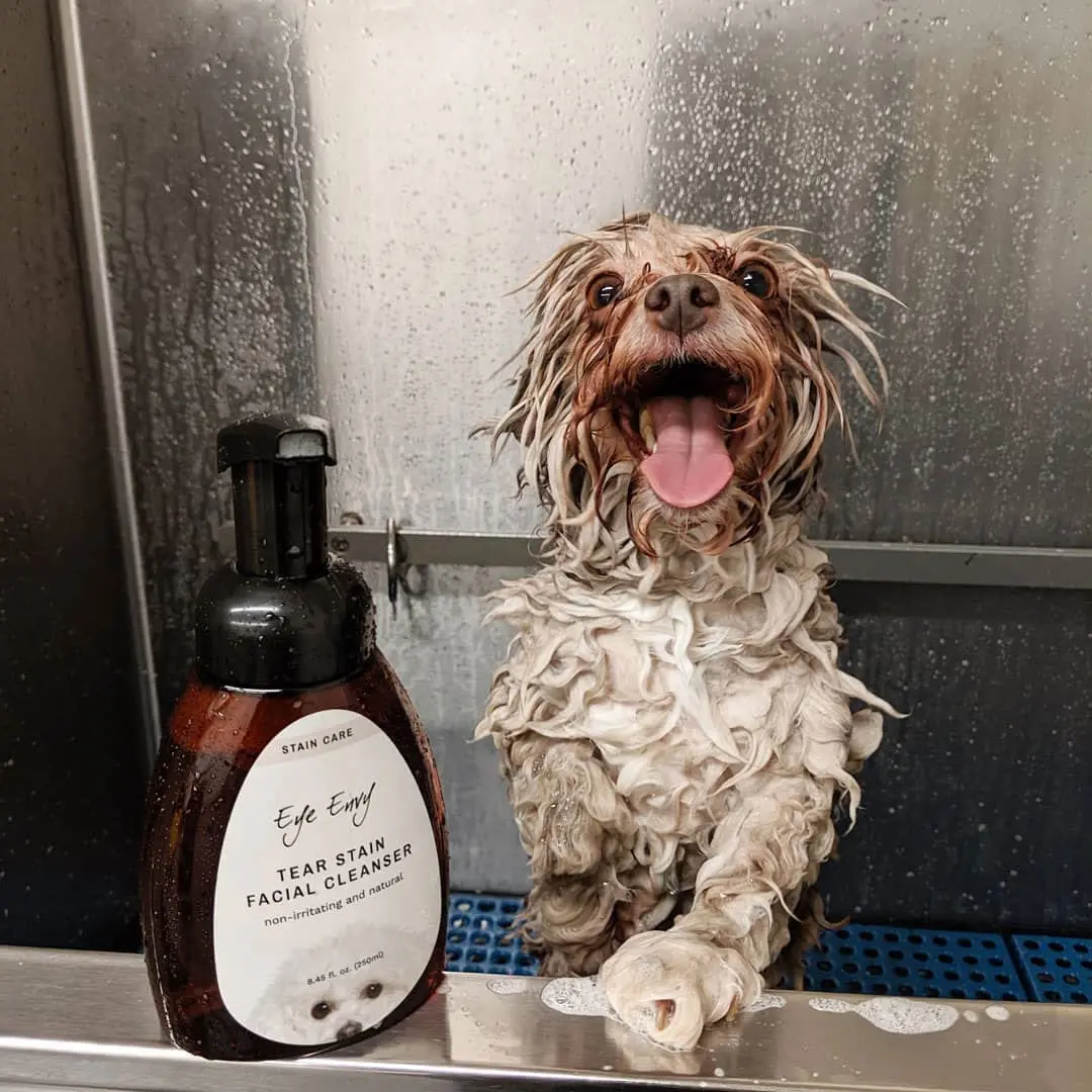 Eye Envy Tear Stain Facial Cleanser for Dogs & Cats 250ml (8.45 fl. oz.) | Gentle Foaming Formula for Eye Debris & Stains - view 7