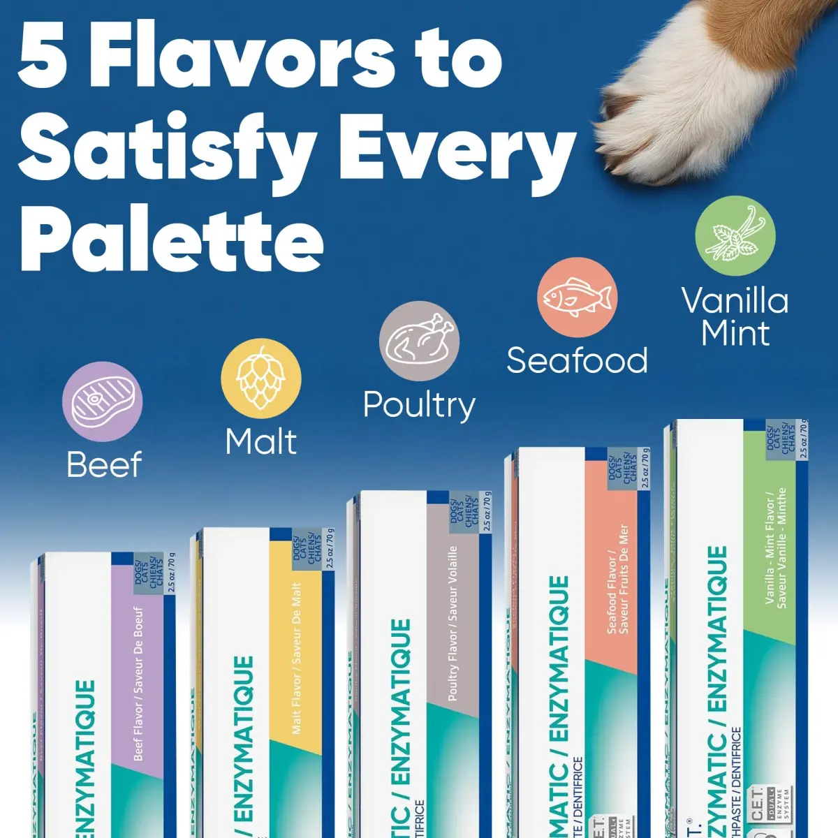 Virbac C.E.T. Enzymatic Toothpaste for Dogs and Cats, Beef Flavor, 70g (2.5oz) | Vet Recommended Dental Care - view 4