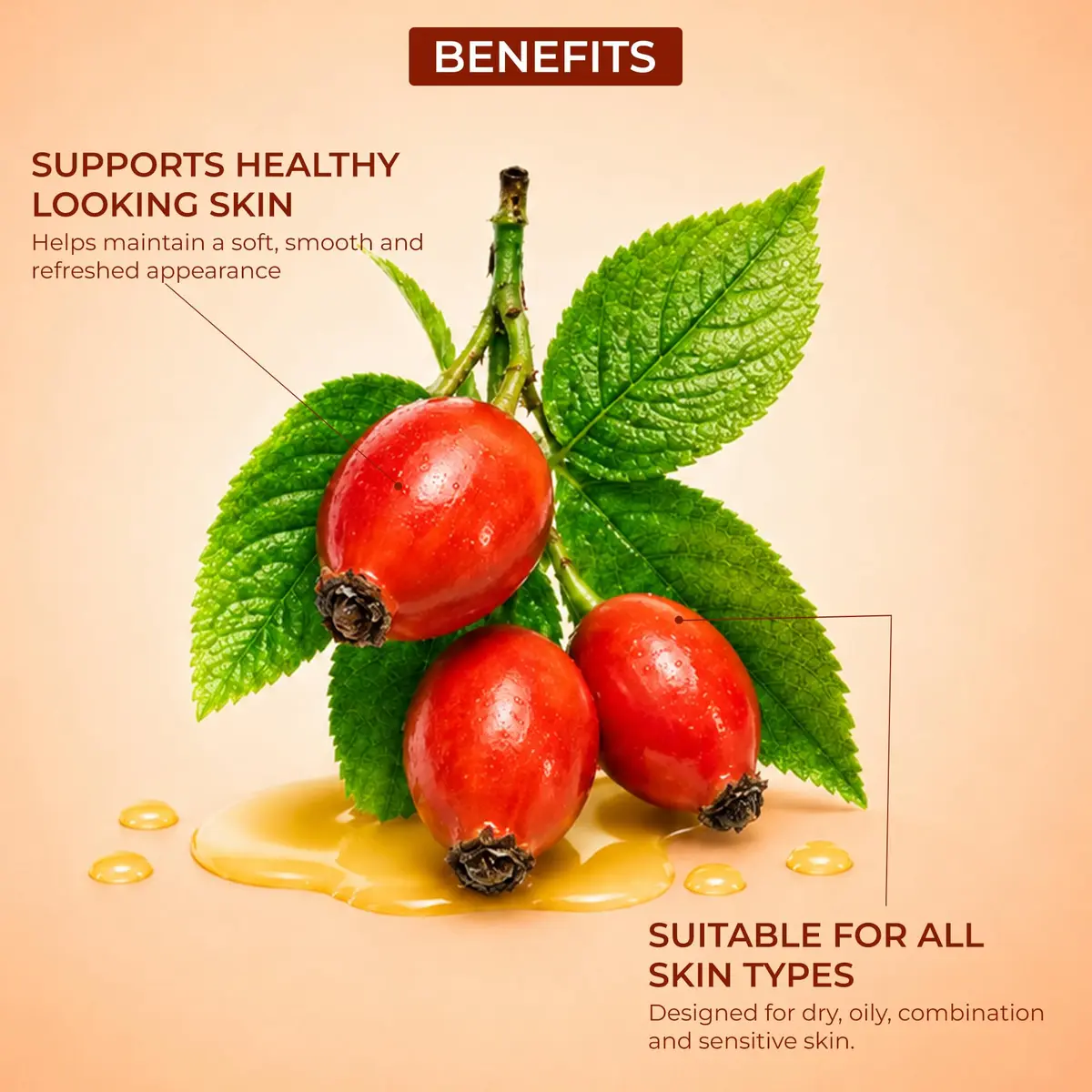 Pursonic Rosehip Seed Oil 6 Fl Oz | Hydrating & Brightening for Dry, Sensitive Skin - view 7