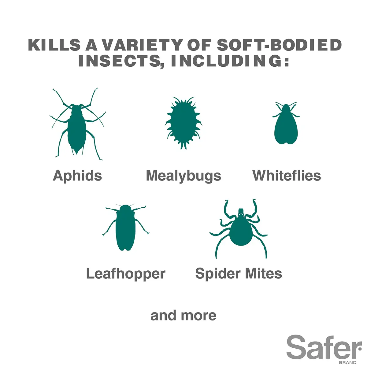 Safer Insect Killing Soap Concentrate 16 fl oz (473 ml) - 6 Pack | OMRI Listed Organic Insecticide - view 2
