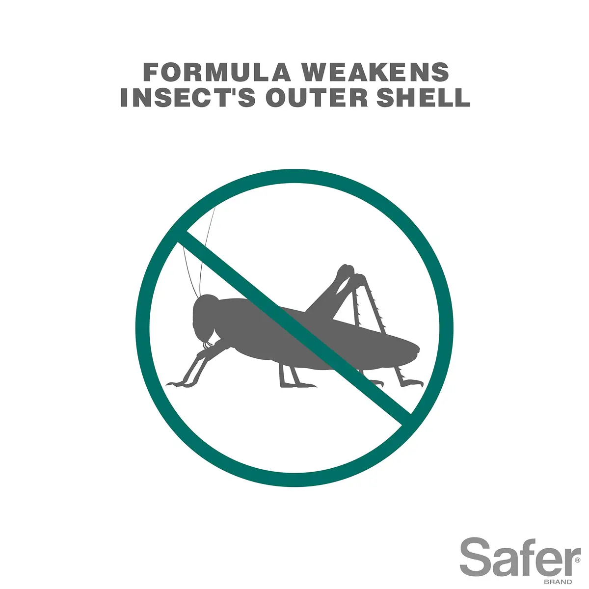 Safer Insect Killing Soap Concentrate 16 fl oz (473 ml) - 6 Pack | OMRI Listed Organic Insecticide - view 3