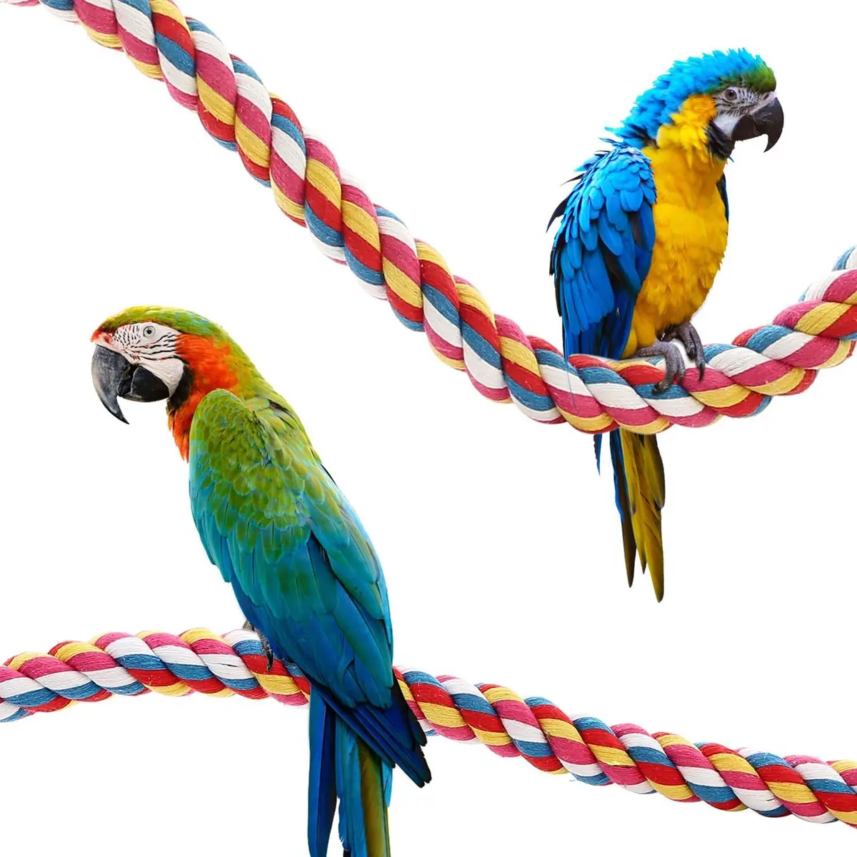 Jusney Bird Rope Perches 33 inches | Cotton Rope Bird Toy for Exercise & Play - view 8