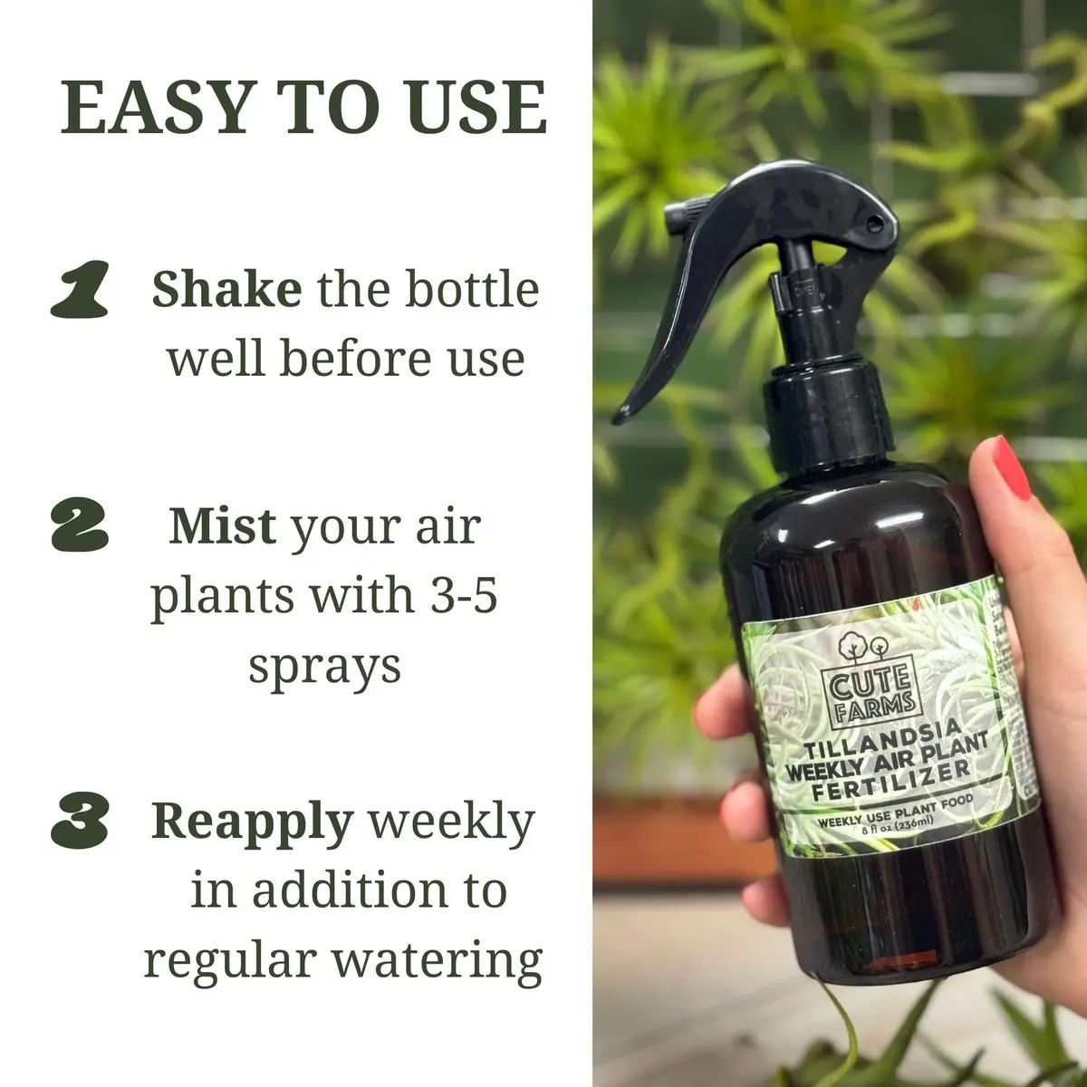 Cute Farms Air Plant Fertilizer Spray | Gentle Weekly Use Formula Plant Food | 16 fl oz (2 Pack) | Nutrient Blend for Epiphytes - view 3