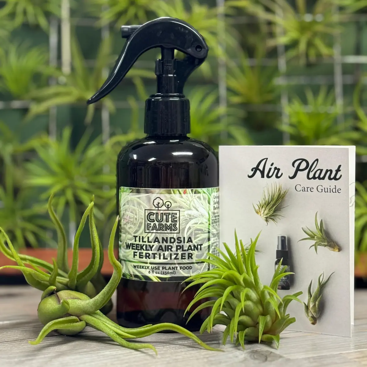 Cute Farms Air Plant Fertilizer Spray 24 fl oz (710 ml) | Gentle Weekly Use Formula Plant Food for Tillandsia - view 7