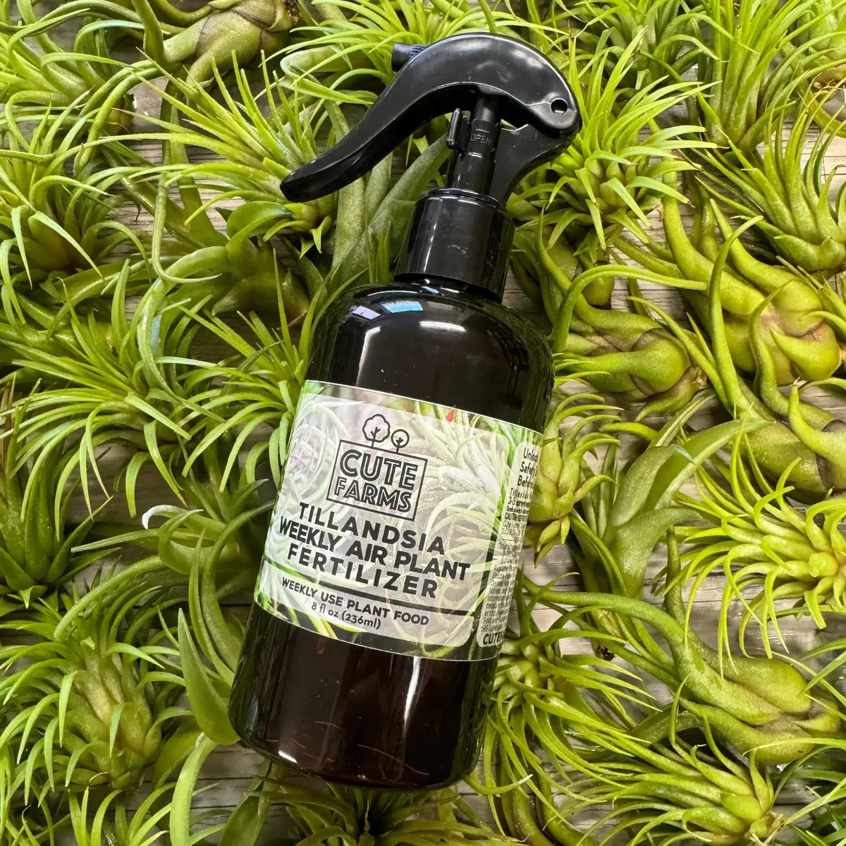 Cute Farms Air Plant Fertilizer Spray 24 fl oz (710 ml) | Gentle Weekly Use Formula Plant Food for Tillandsia - view 8