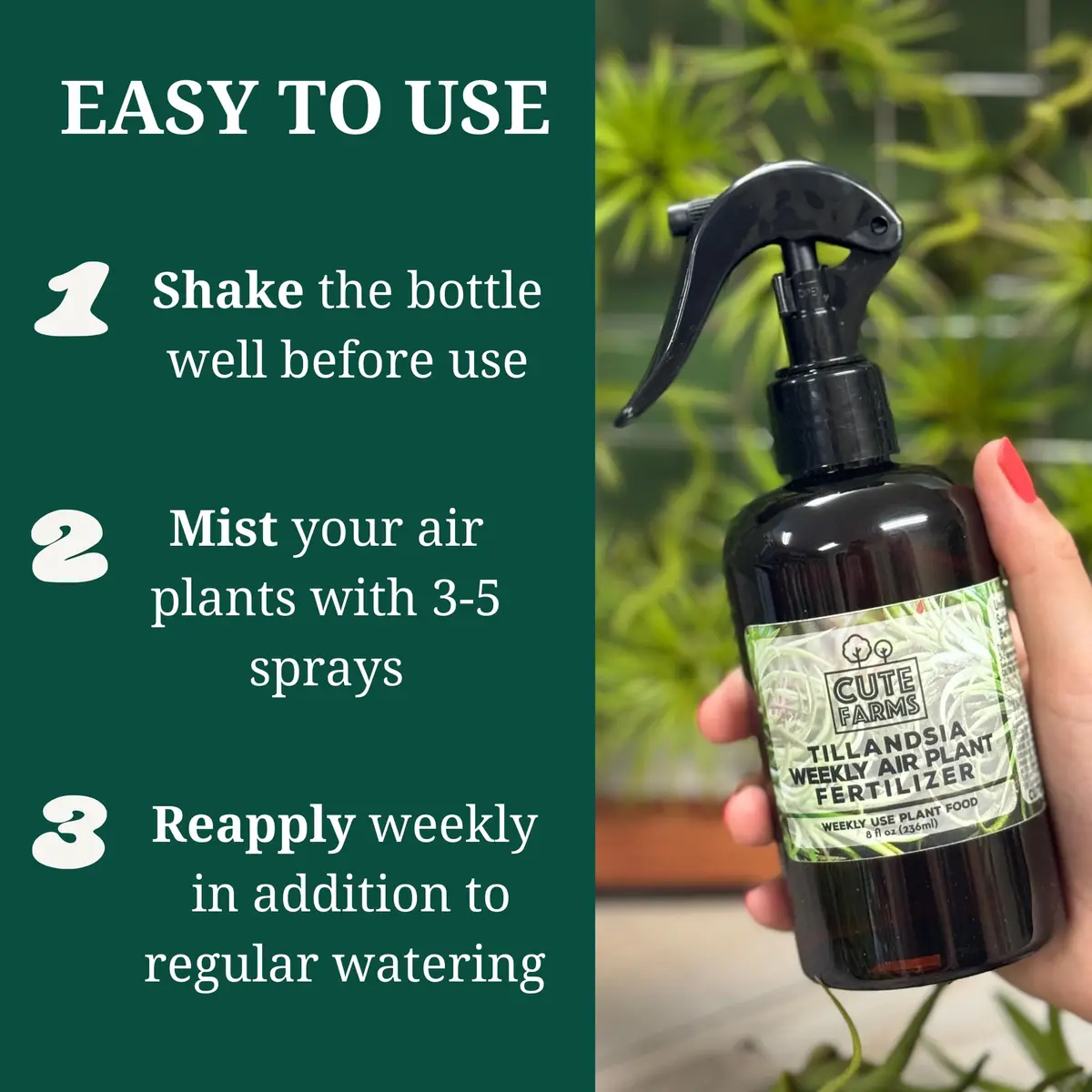 Cute Farms Air Plant Fertilizer Spray 24 fl oz (710 ml) | Gentle Weekly Use Formula Plant Food for Tillandsia - view 3