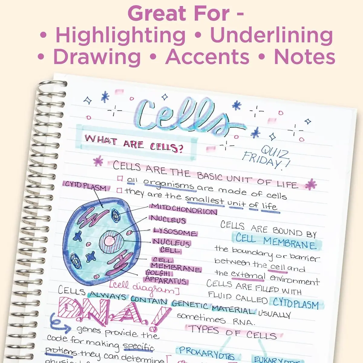 Zebra Pen Mildliner Dual Tip Highlighter Set, 15 Assorted Colors | AP Certified Non-Toxic - view 5