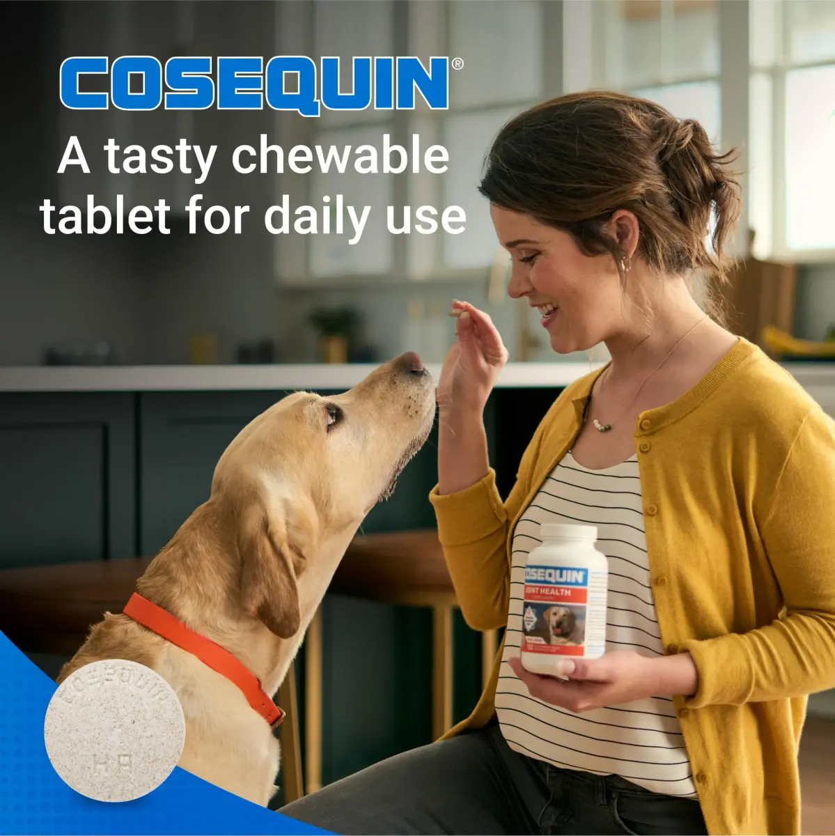 Nutramax Cosequin Dog Joint Supplement Tablets with MSM & HA, 75 Count | Vet Recommended Canine Mobility Support - view 3