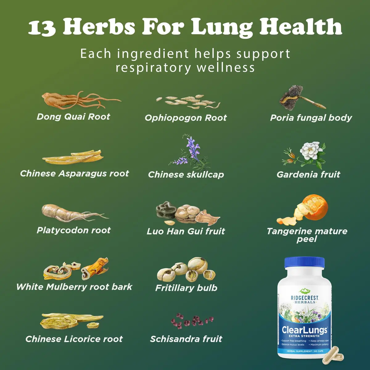 RidgeCrest Herbals ClearLungs Extra Strength Lung Support 60 Ct | Natural Respiratory Aid for Adults - view 8