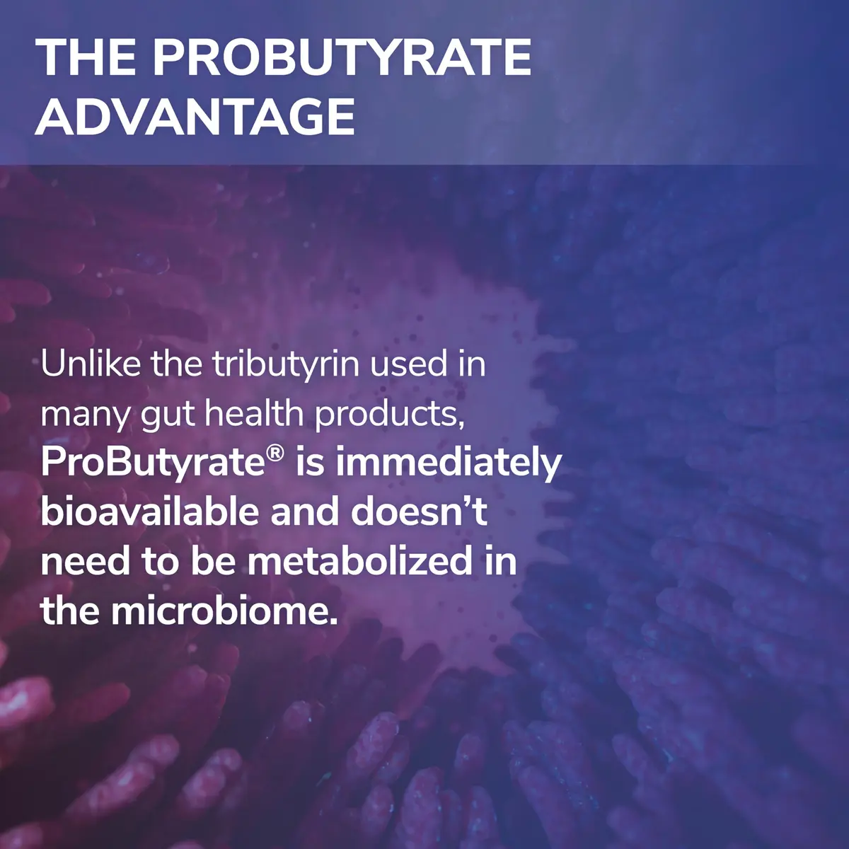 Tesseract ProButyrate 120Caps | Gut Health & Microbiome Support with Patented Delivery - view 8