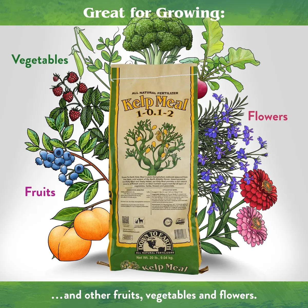 Down To Earth All Natural Fertilizers Organic Kelp Meal 20 lb | Supports lush growth & abundant fruit - view 2