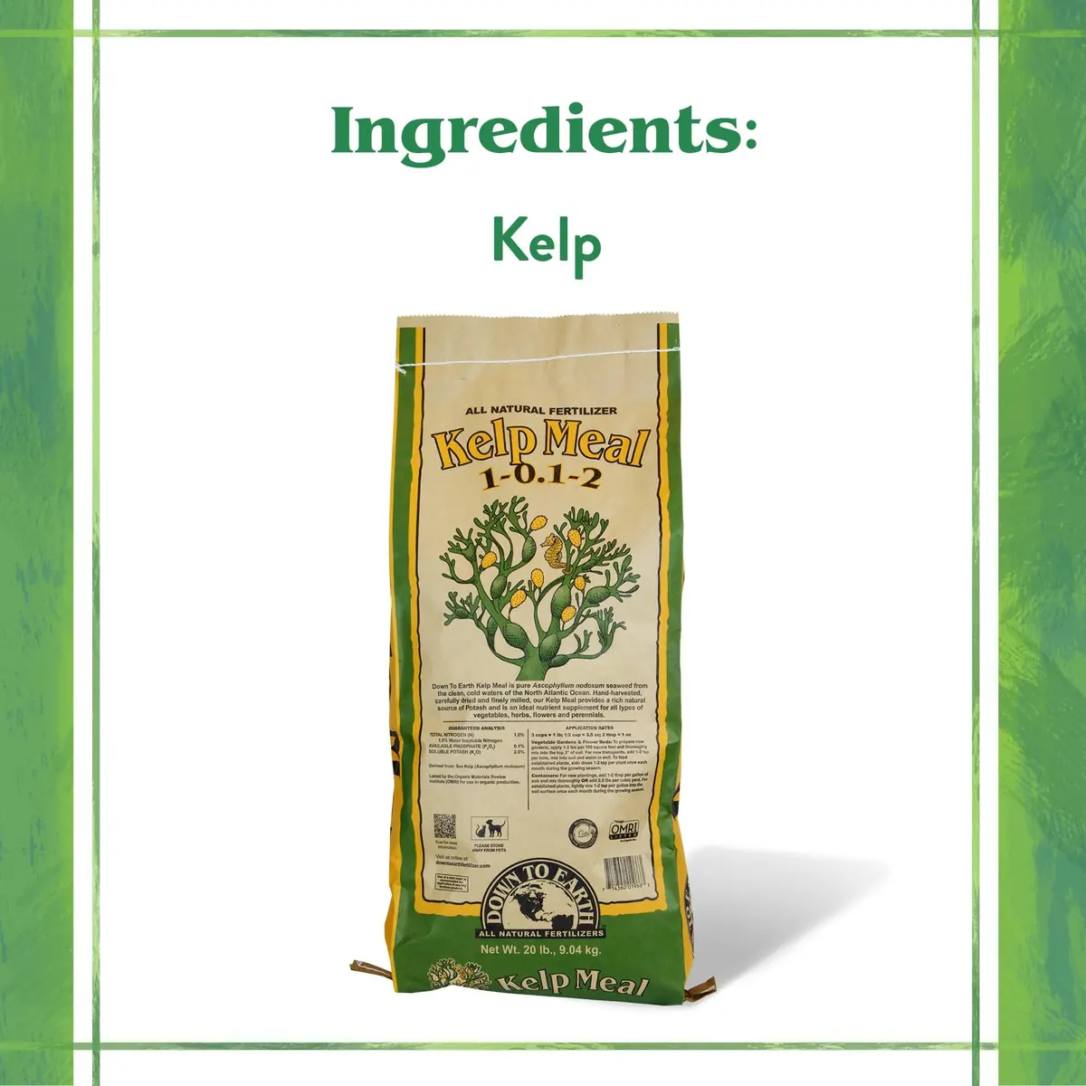 Down To Earth All Natural Fertilizers Organic Kelp Meal 20 lb | Supports lush growth & abundant fruit - view 3