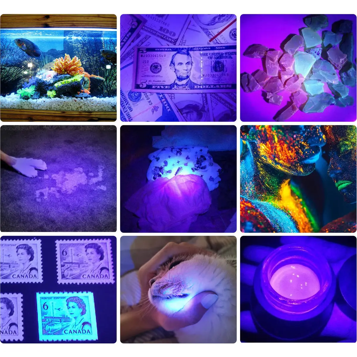 DARKBEAM UV Light Rechargeable Flashlight 395nm | Handheld Blacklight for Pet Urine & Currency - view 6