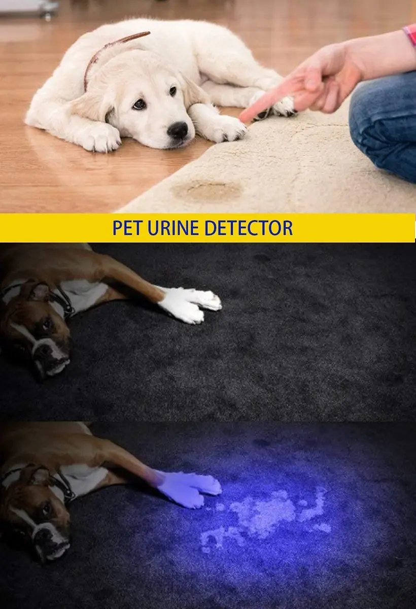 DARKBEAM UV 395nm Flashlight 2 Pack | Detect Pet Urine & Fluorescent Items - view 2