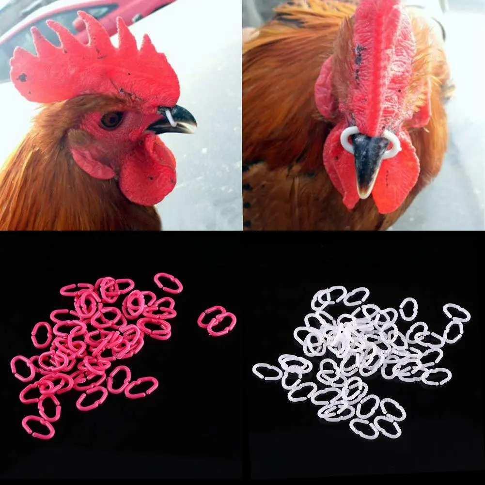 Walfront Chicken Beak Rings Medium 15mm x 9mm | Anti Pecking Reusable Plastic - view 6