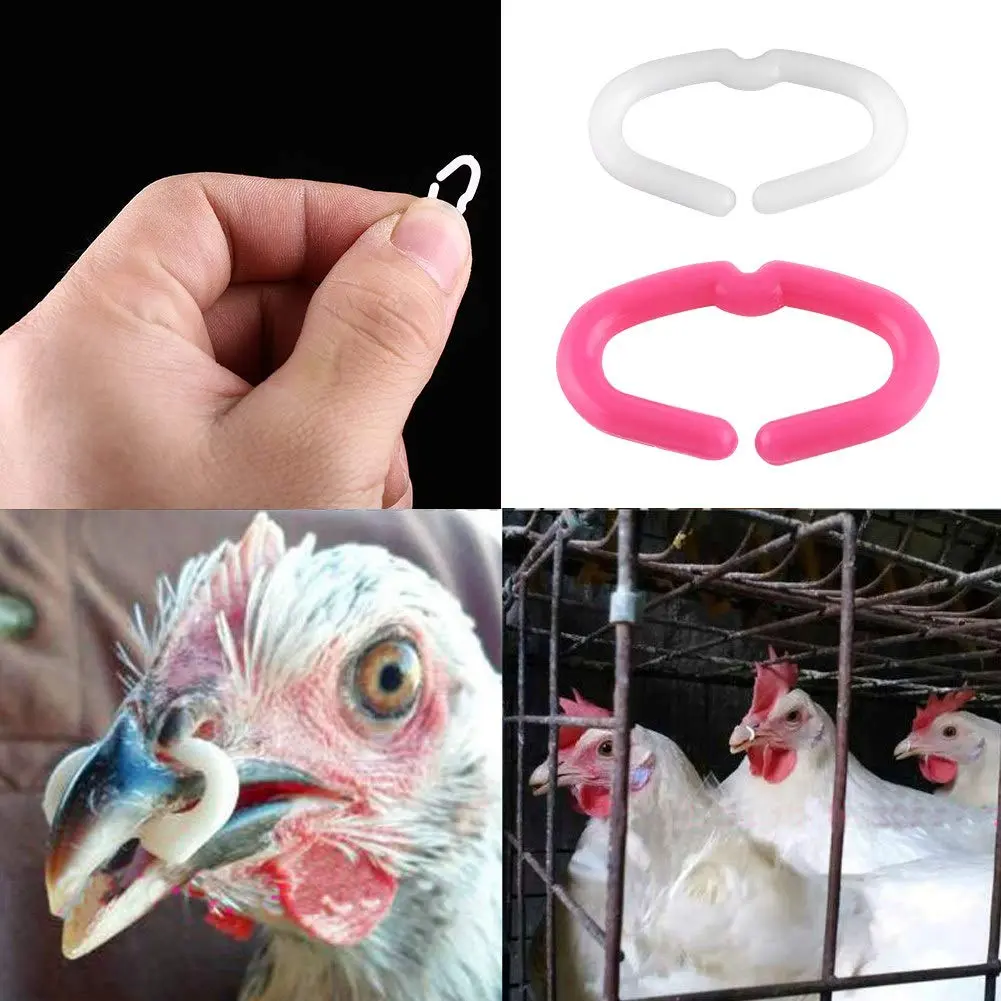 Walfront Chicken Beak Rings Medium 15mm x 9mm | Anti Pecking Reusable Plastic - view 7