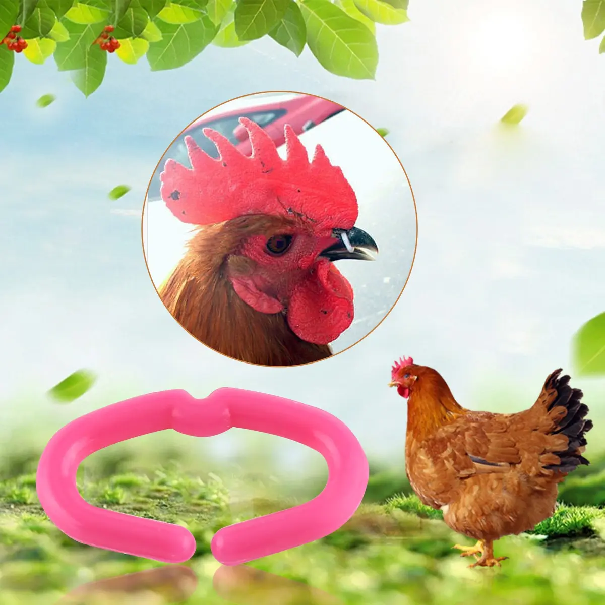 Walfront Chicken Beak Rings Medium 15mm x 9mm | Anti Pecking Reusable Plastic - view 8