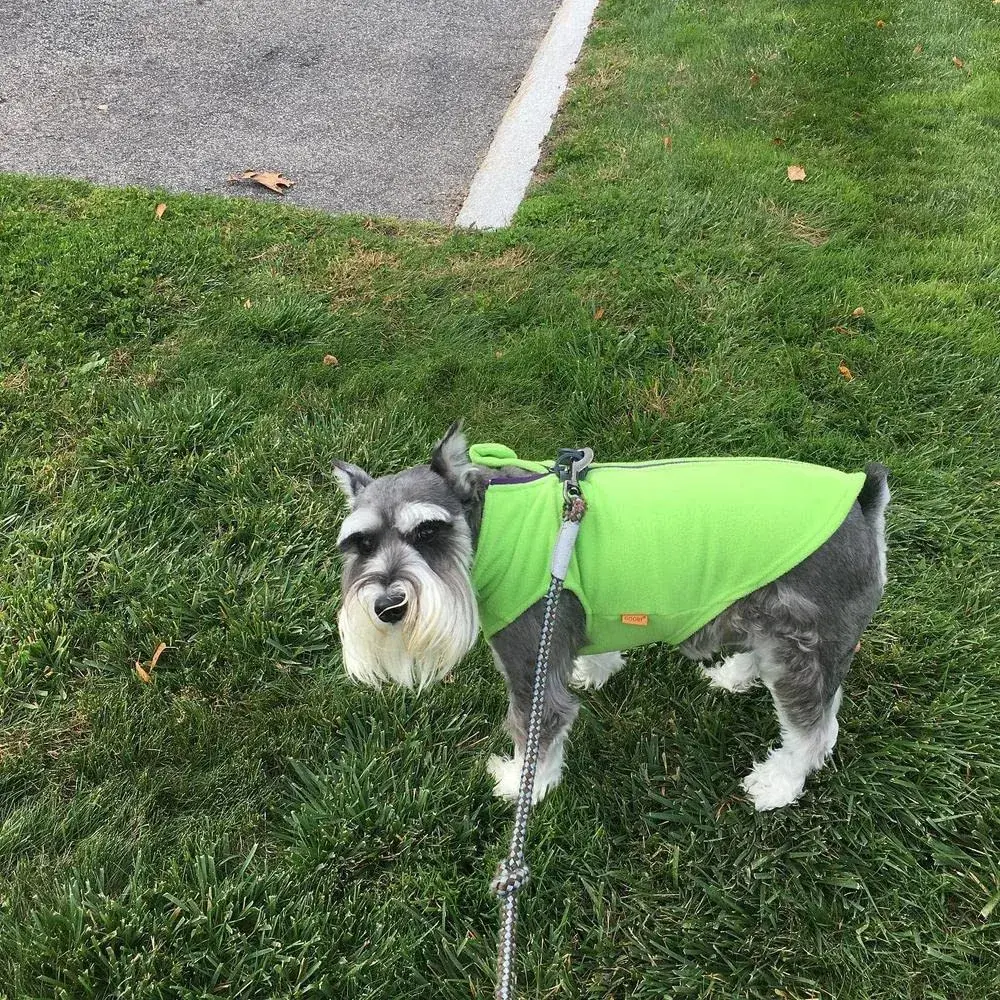 Gooby Zip-Up Fleece Dog Sweater Lime X-Large | Warm Winter Pet Apparel with Leash D-Ring - view 5
