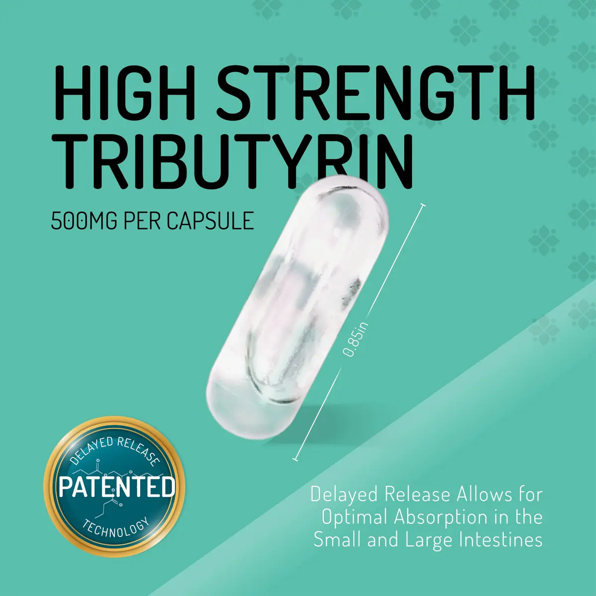Healus Complete Biotic Postbiotic Tributyrin Supplement 60 Capsules | Supports Gut Health & Digestion - view 3