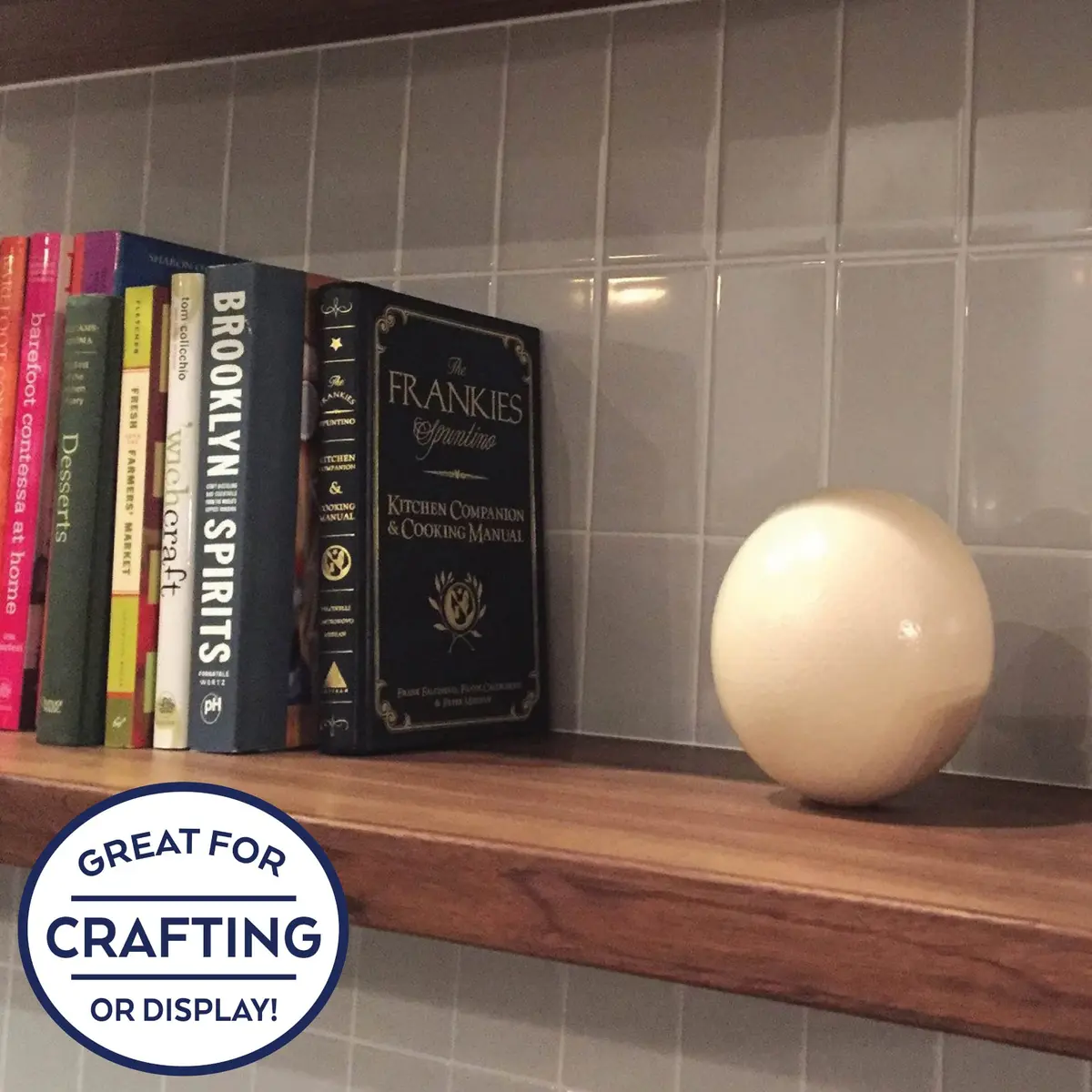 American Ostrich Farms Ostrich Eggshell Large Natural Sheen | Unique Craft Shell Laid in USA - view 3