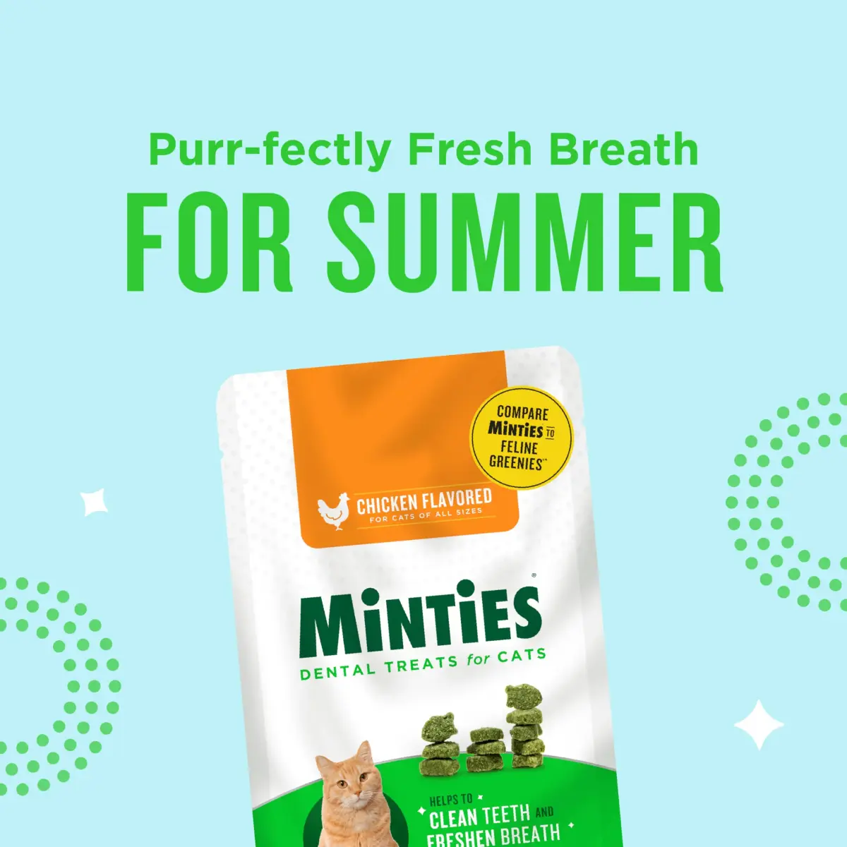 VetIQ Minties Dental Cat Treats Chicken Flavor 70.87g (2.5 Oz) | Cleans Teeth & Freshens Breath - view 8