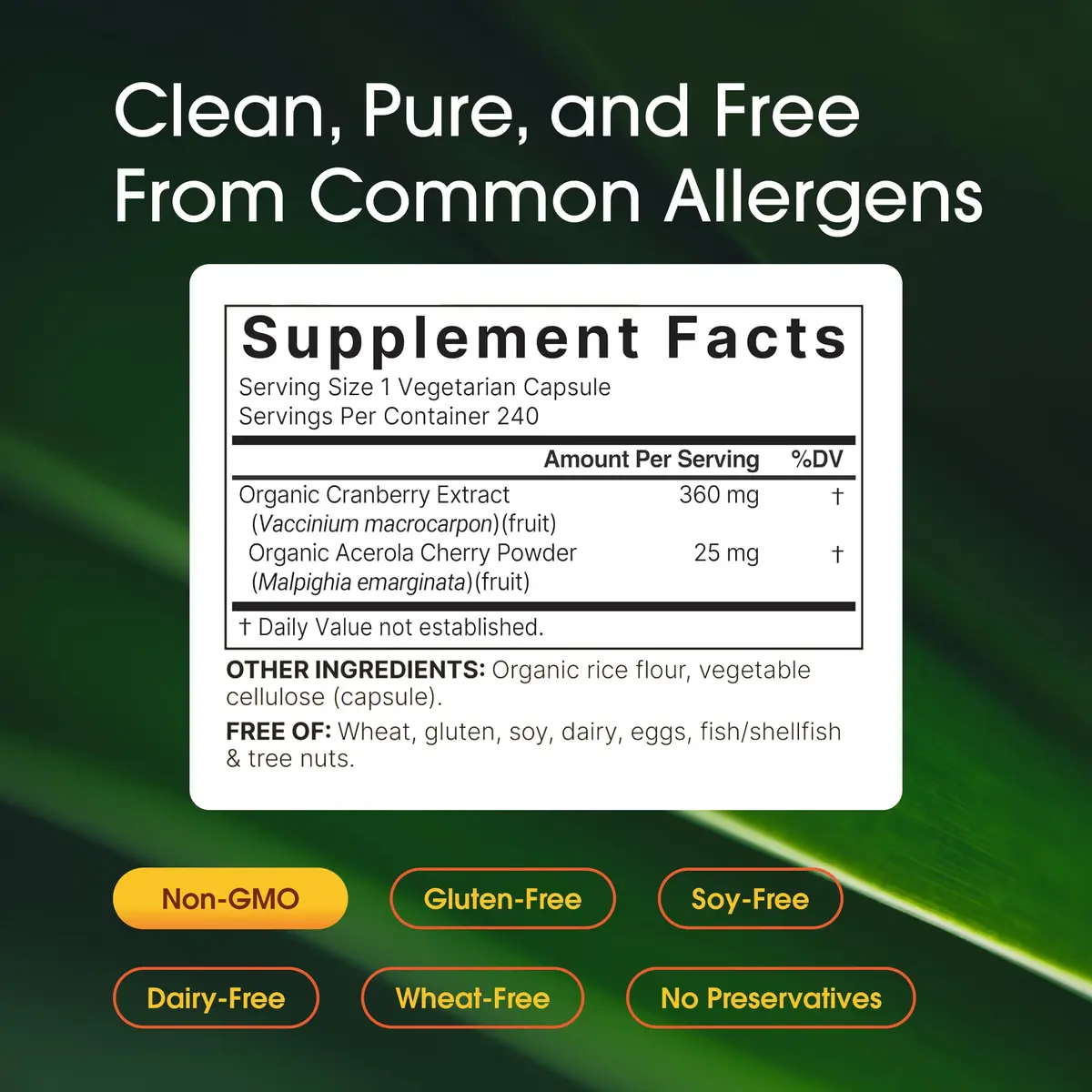 NatureBell Cranberry Concentrate 240 Capsules | Urinary & Wellness Support in India - view 3