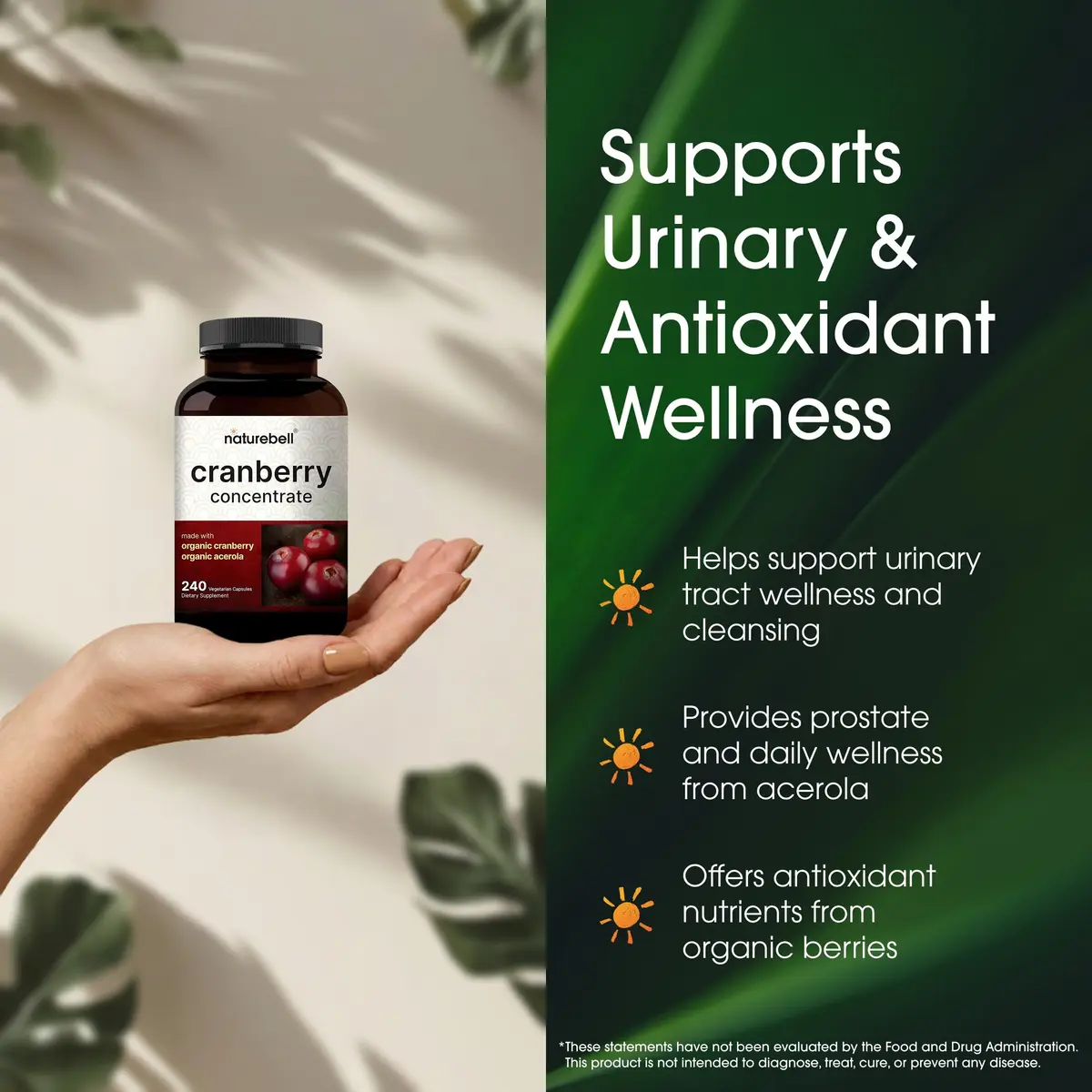 NatureBell Cranberry Concentrate 240 Capsules | Urinary & Wellness Support in India - view 4