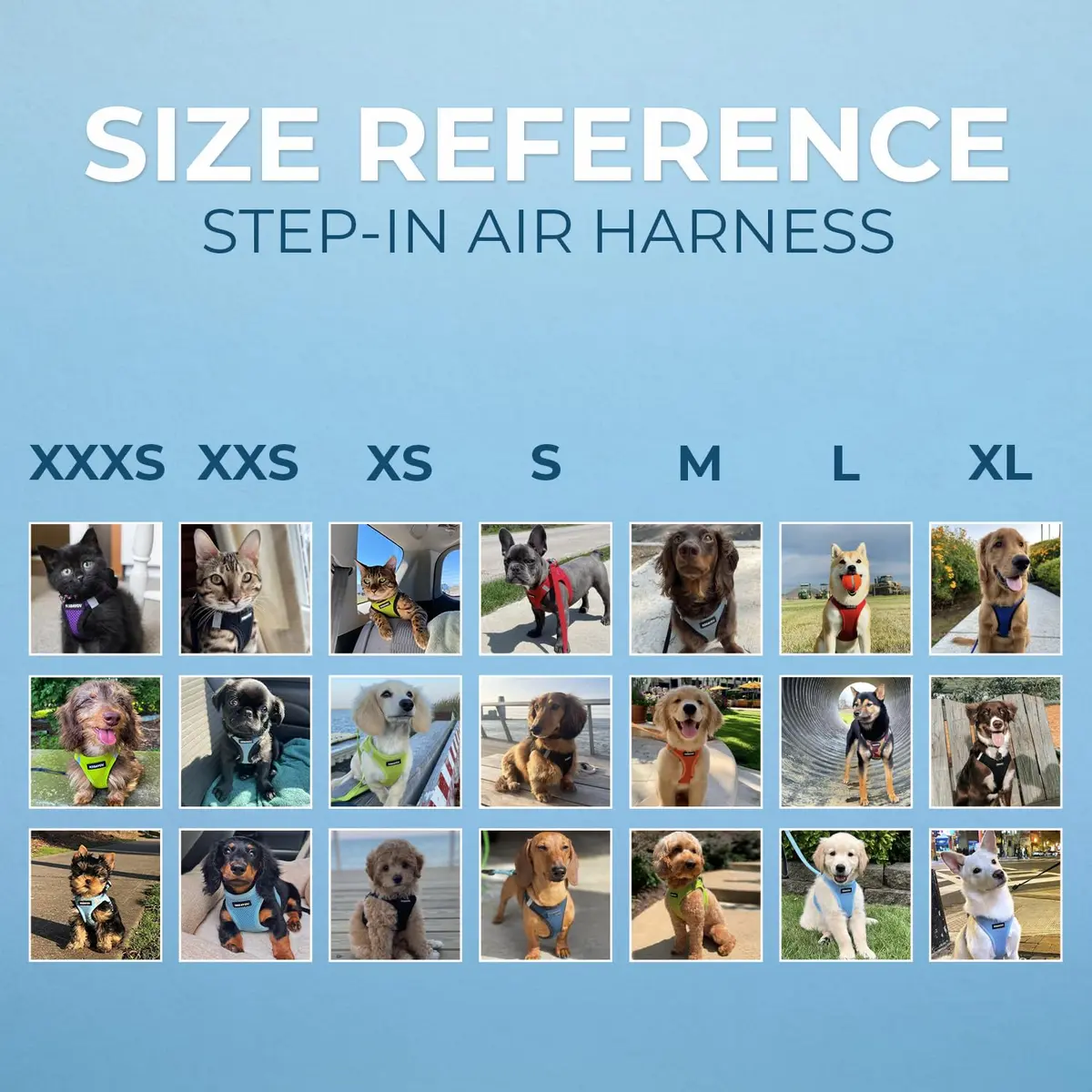 Best Pet Supplies Voyager Step-in Air Dog Vest Harness - Turquoise 2-Tone, Small | Breathable Mesh, Reflective Bands, Secure Fit - view 5