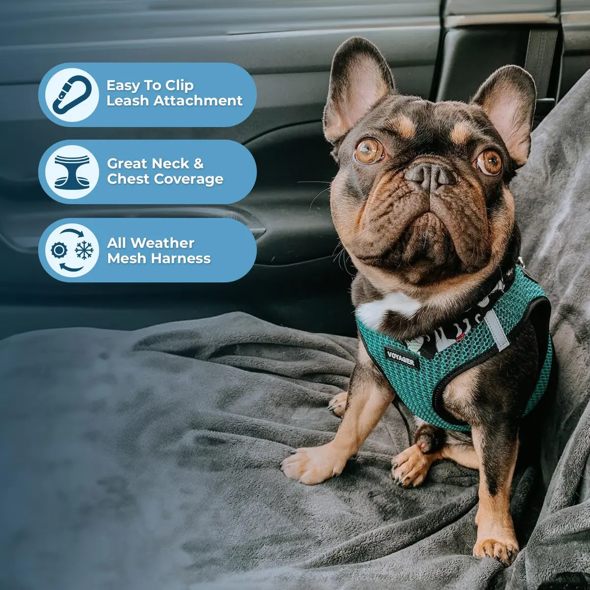Best Pet Supplies Voyager Step-in Air Dog Vest Harness - Turquoise 2-Tone, Small | Breathable Mesh, Reflective Bands, Secure Fit - view 2