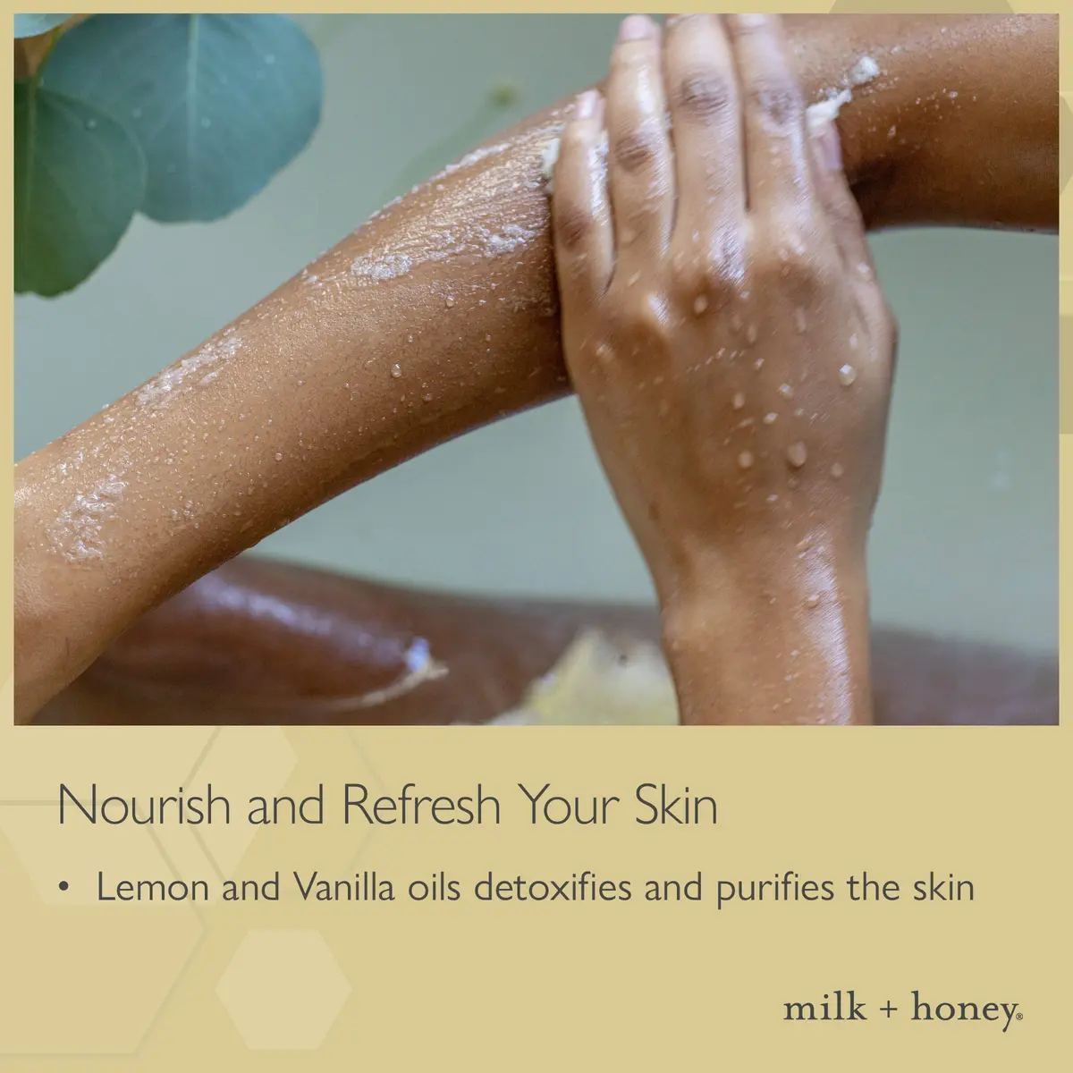 milk + honey Exfoliating Body Polish No. 5-Sea Salt & Sugar, 7 oz | Gentle scrub for sensitive skin, women & men - view 3