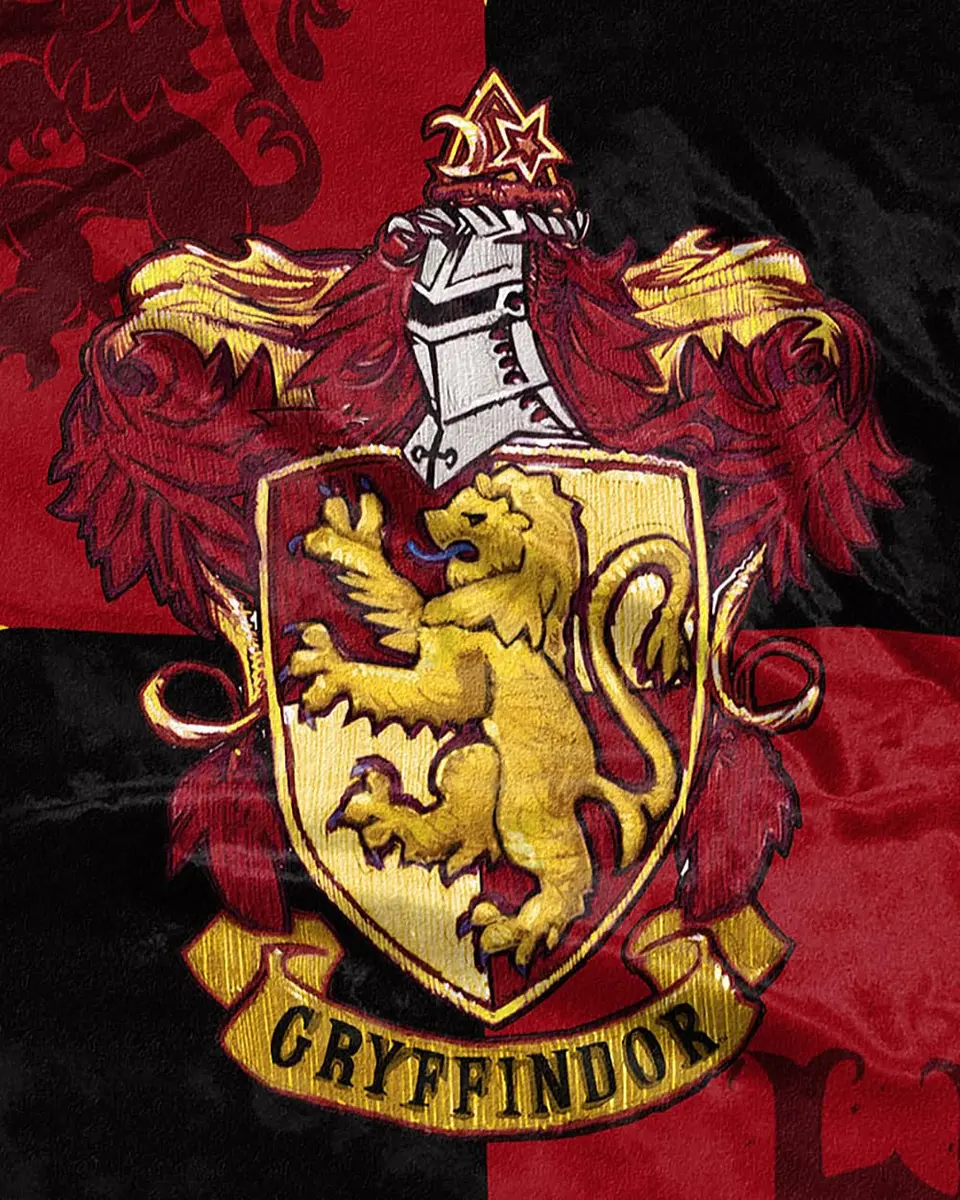 Northwest Harry Potter Gryffindor House Crests Silk Touch Throw Blanket 127x152 cm (50" x 60") | Official Merchandise for Fans - view 4