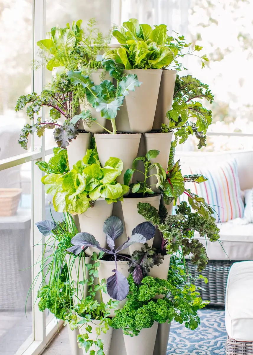 Greenstalk 5 Tier Vertical Garden Planter with Internal Watering System | Grow Vegetables & Flowers - view 6