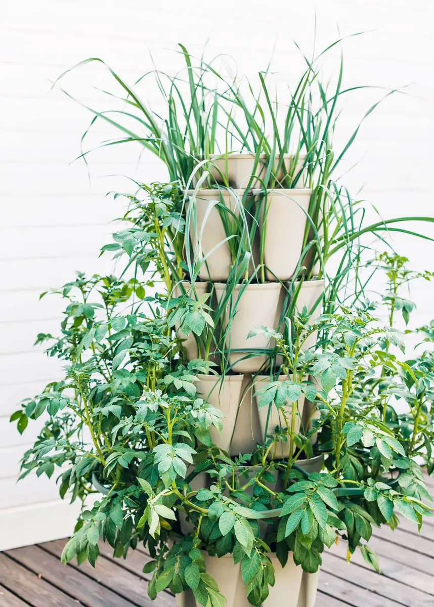 Greenstalk 5 Tier Vertical Garden Planter with Internal Watering System | Grow Vegetables & Flowers - view 10