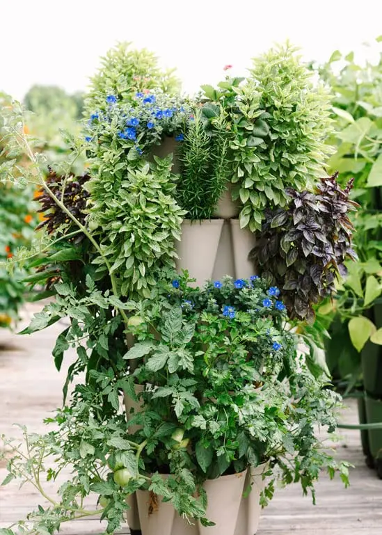 Greenstalk 5 Tier Vertical Garden Planter with Internal Watering System | Grow Vegetables & Flowers - view 4