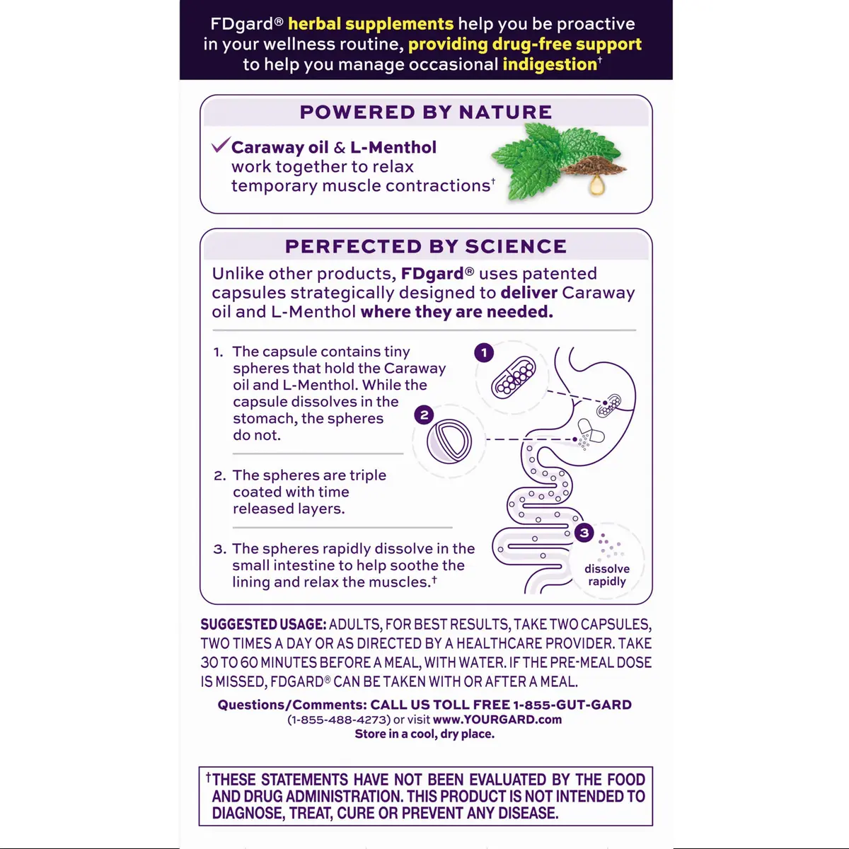 FDgard Gut Health Supplement, 12 Capsules | Supports Occasional Digestive Discomfort - view 7