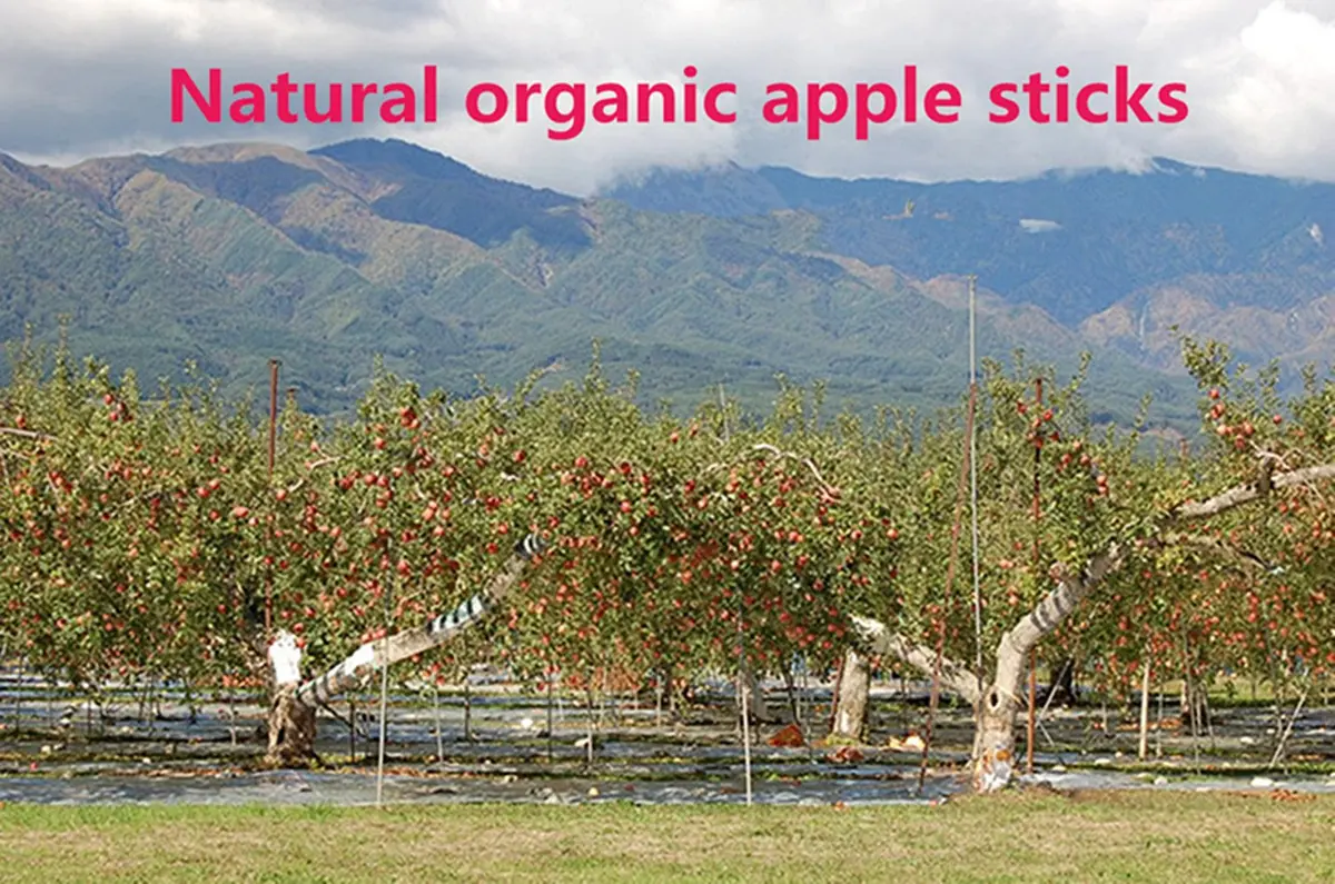 sharllen Apple Sticks Pet Chew Toys 300g | Natural Organic Small Animal Molar Treats - view 6