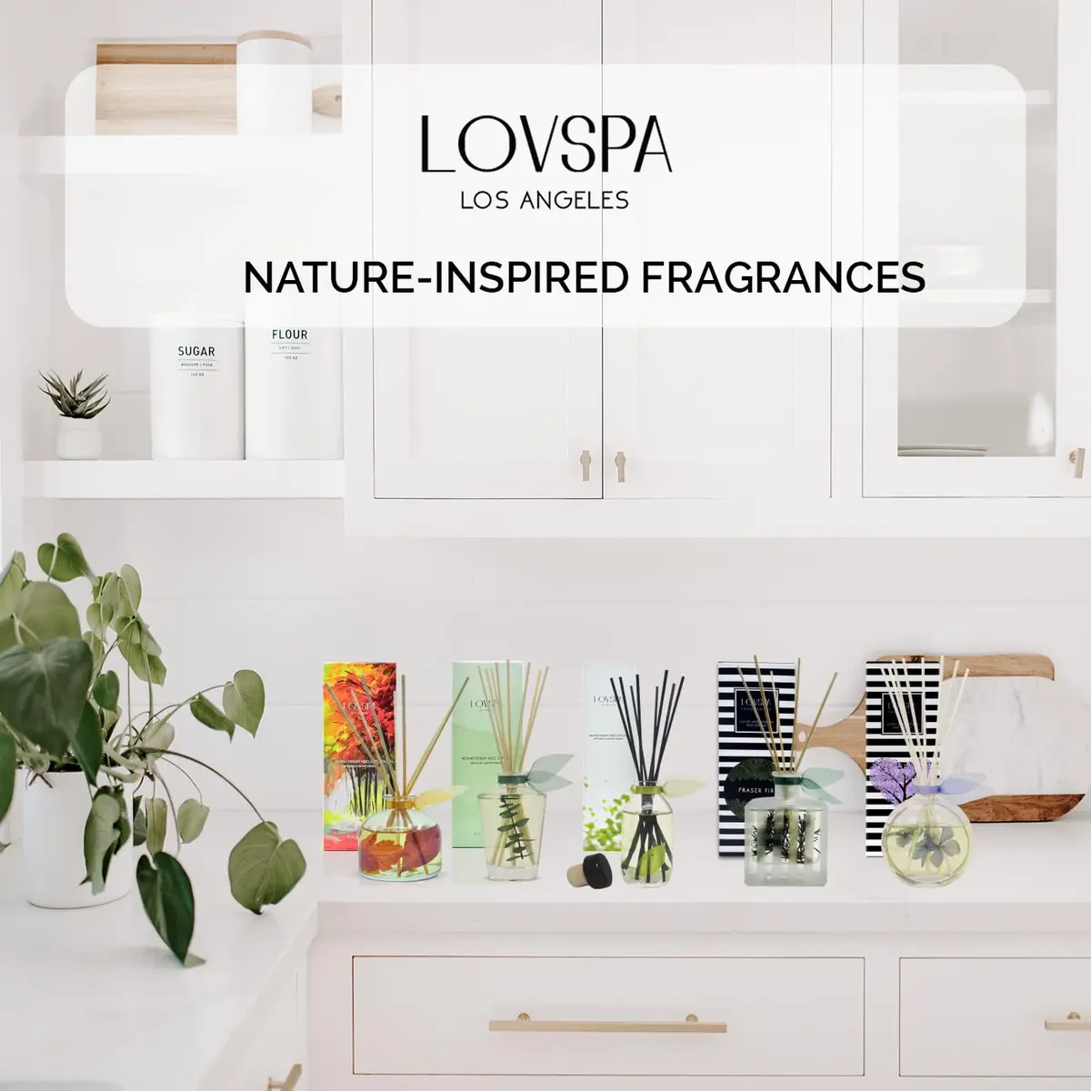 LOVSPA Reed Diffuser Set - Joy Winterberry Spruce 4oz | Long-Lasting, Flame-Free Home Fragrance - view 7