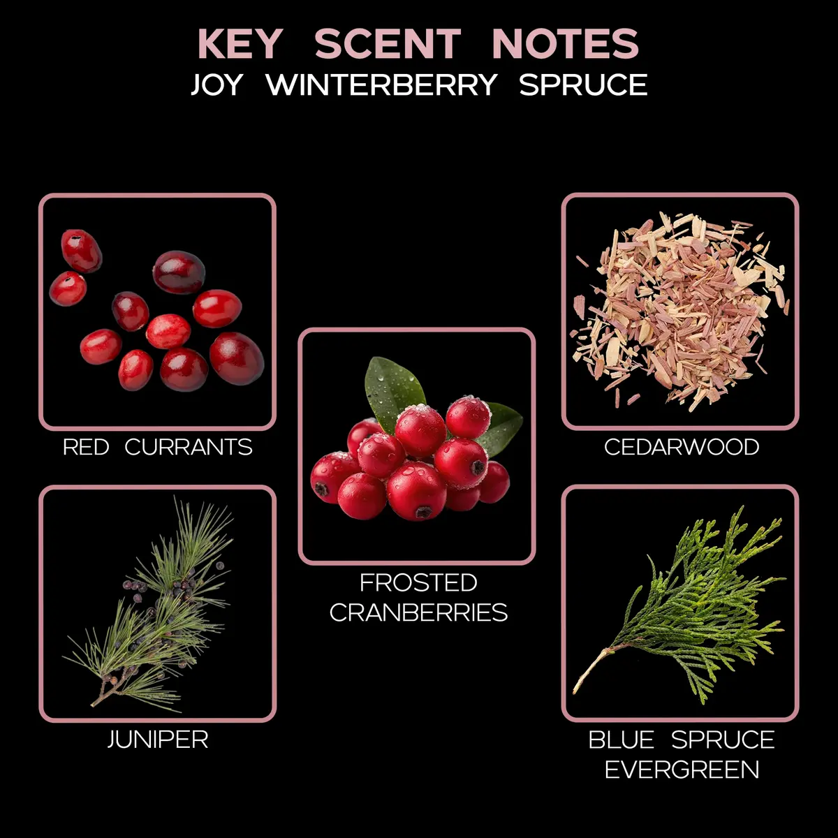 LOVSPA Reed Diffuser Set - Joy Winterberry Spruce 4oz | Long-Lasting, Flame-Free Home Fragrance - view 9