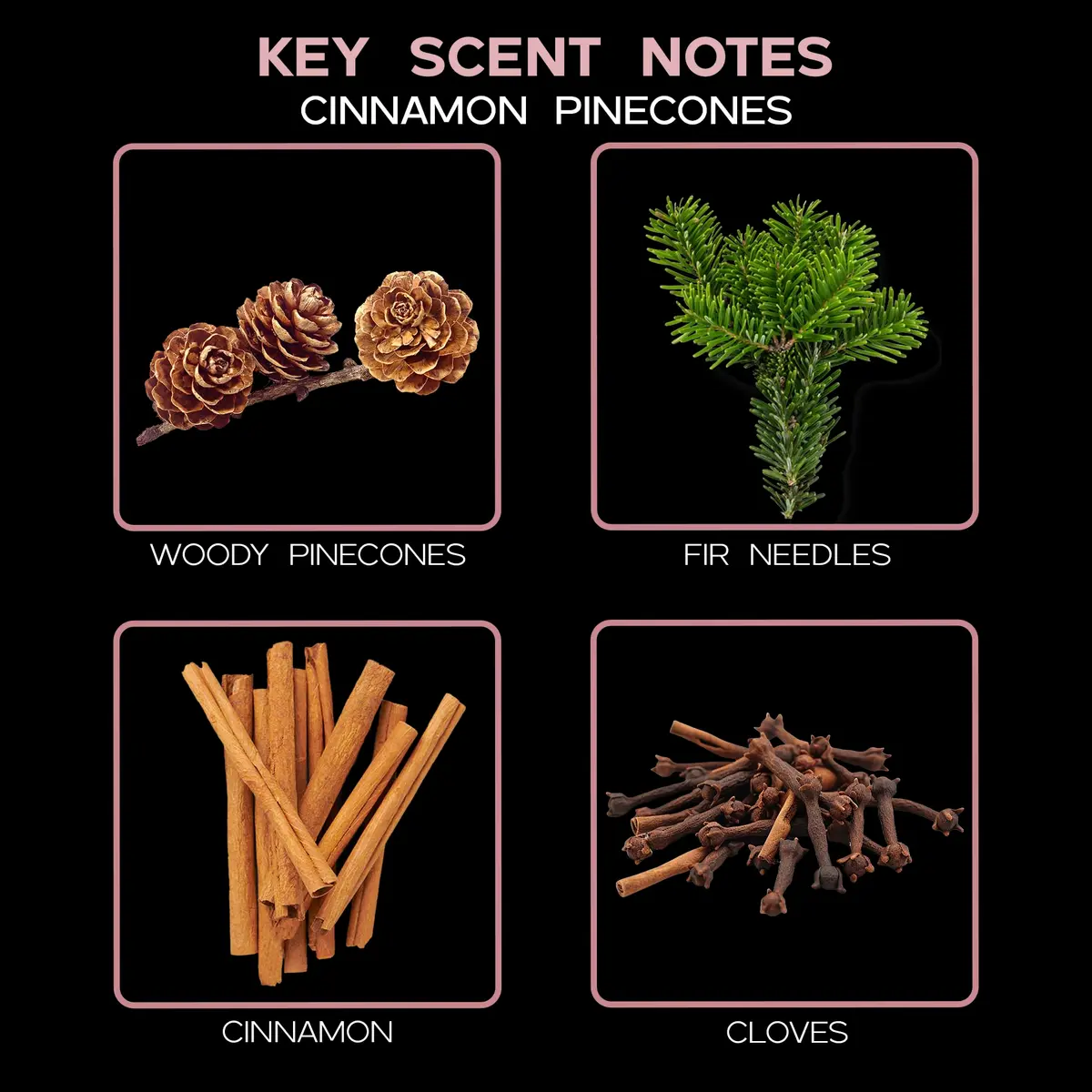 LOVSPA Reed Diffuser Set - Cinnamon Pine Cones Scented Diffuser with Sticks | Long-Lasting Aromatherapy for Small Spaces - view 4